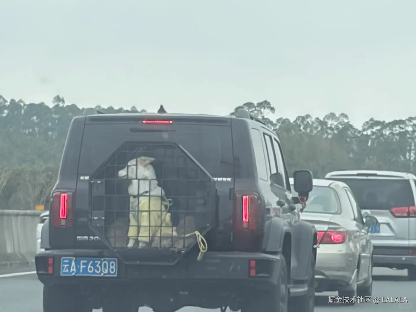 LALALA于2026-02-15 10:36发布的图片