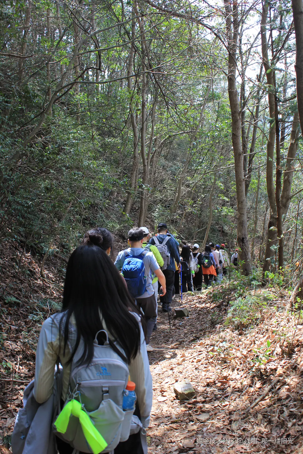 浅唱_那一缕阳光于2026-04-07 10:47发布的图片
