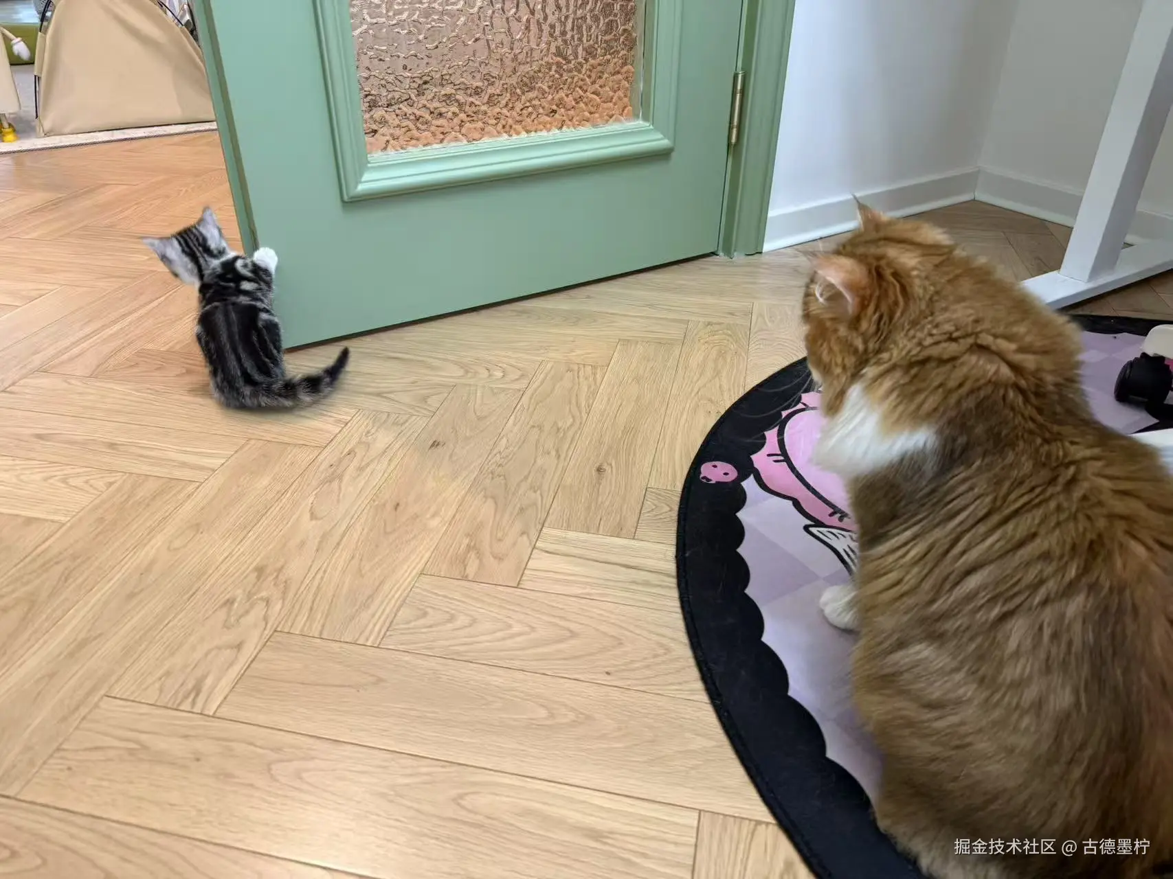 古德墨柠于2025-07-31 15:52发布的图片