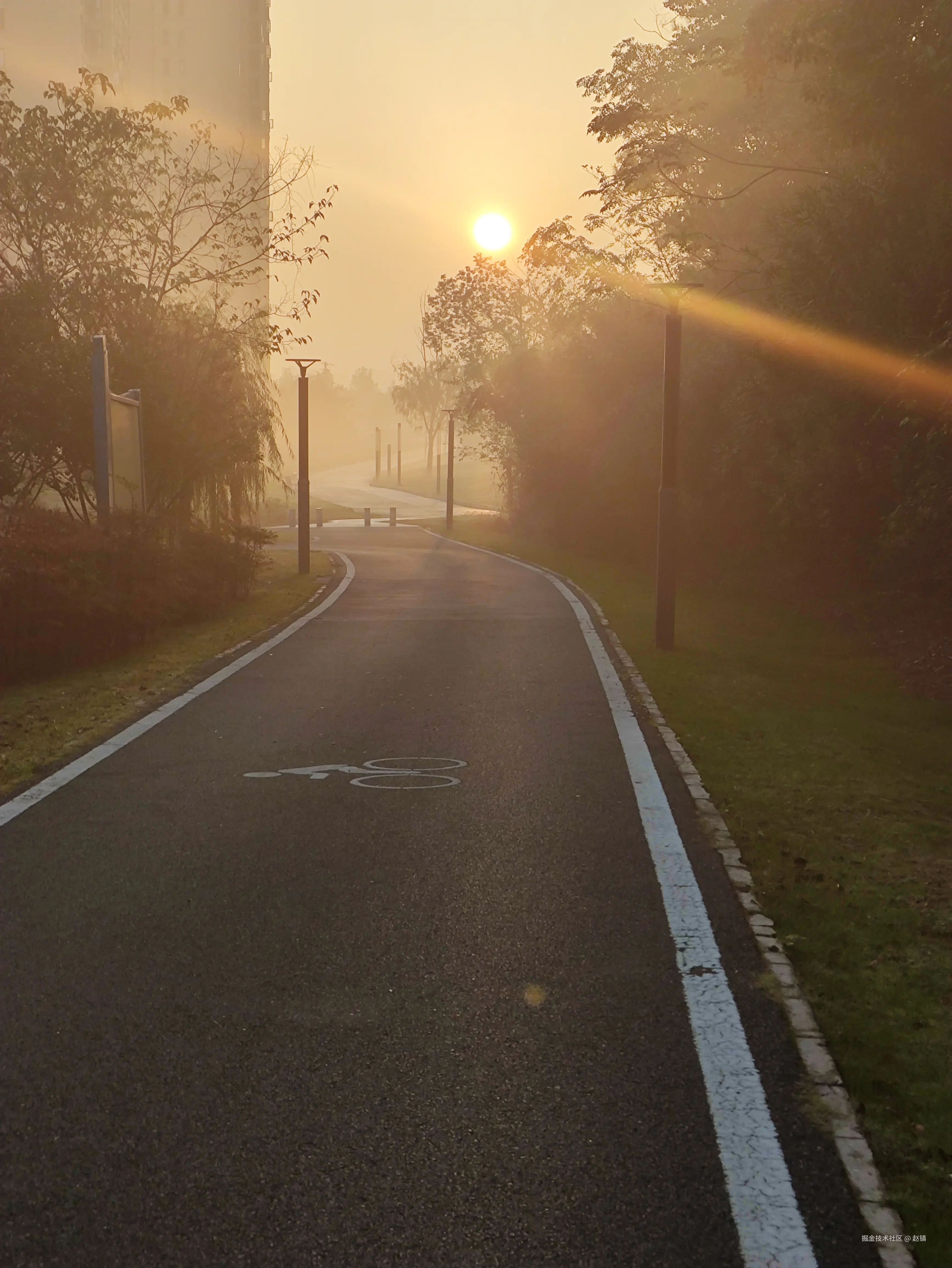 赵镇于2024-10-30 14:21发布的图片