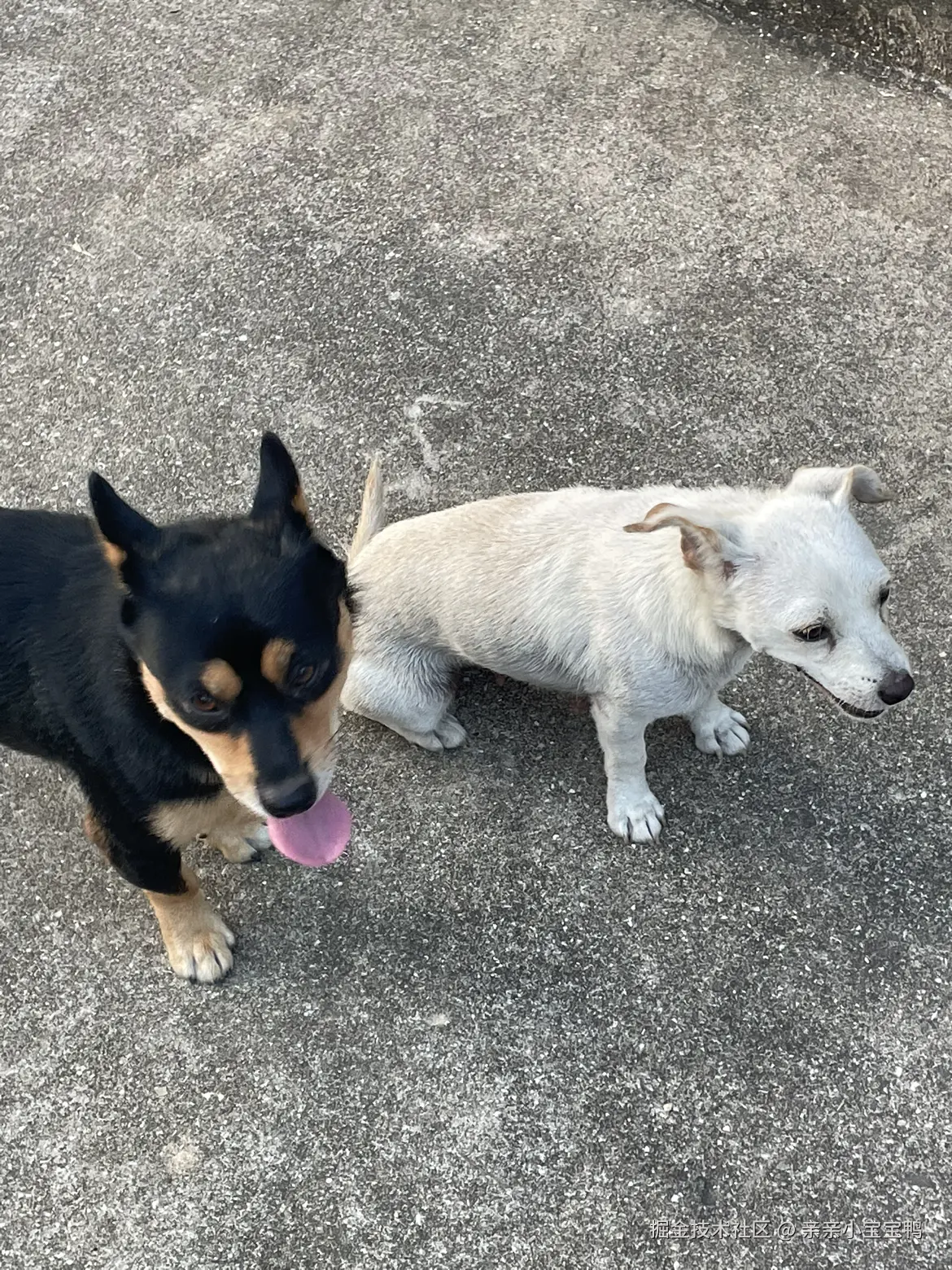 亲亲小宝宝鸭于2025-10-11 15:07发布的图片