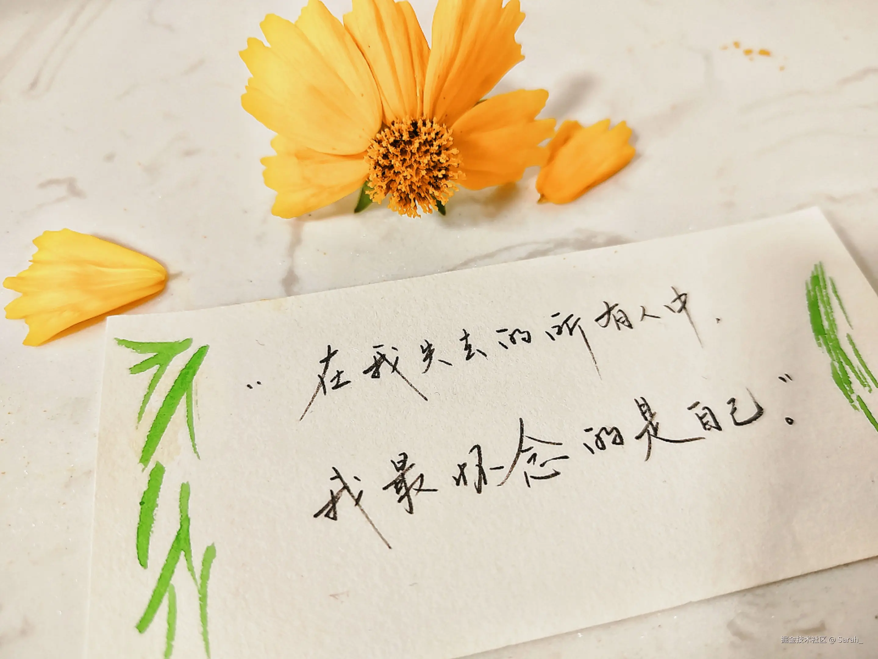 Sarah_于2025-05-28 08:33发布的图片