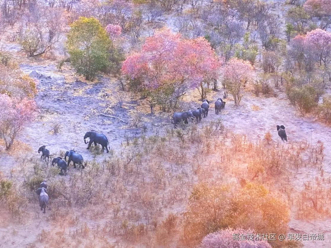 早发白帝城于2025-10-12 22:12发布的图片