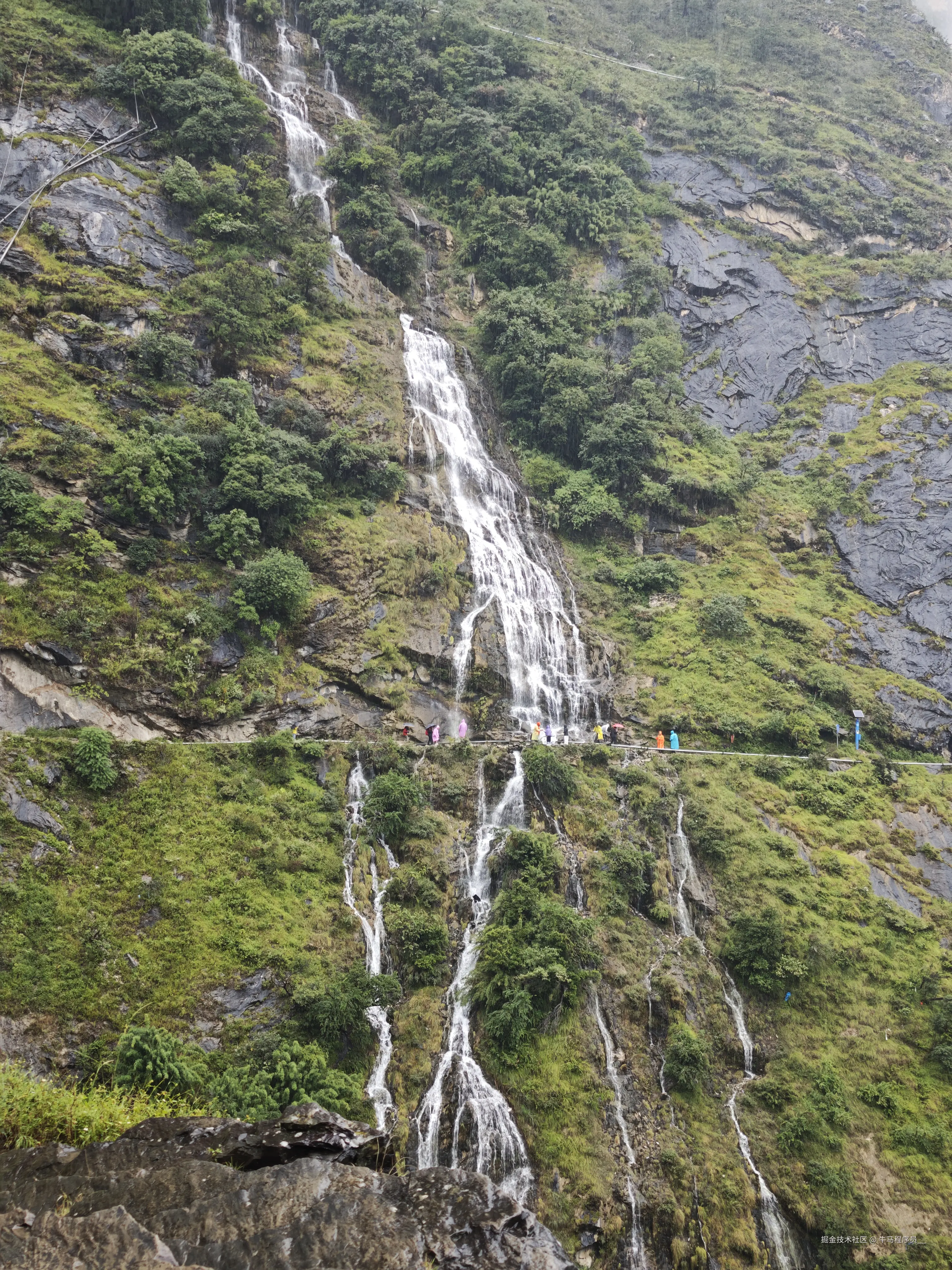 牛马程序员__于2025-10-09 13:51发布的图片