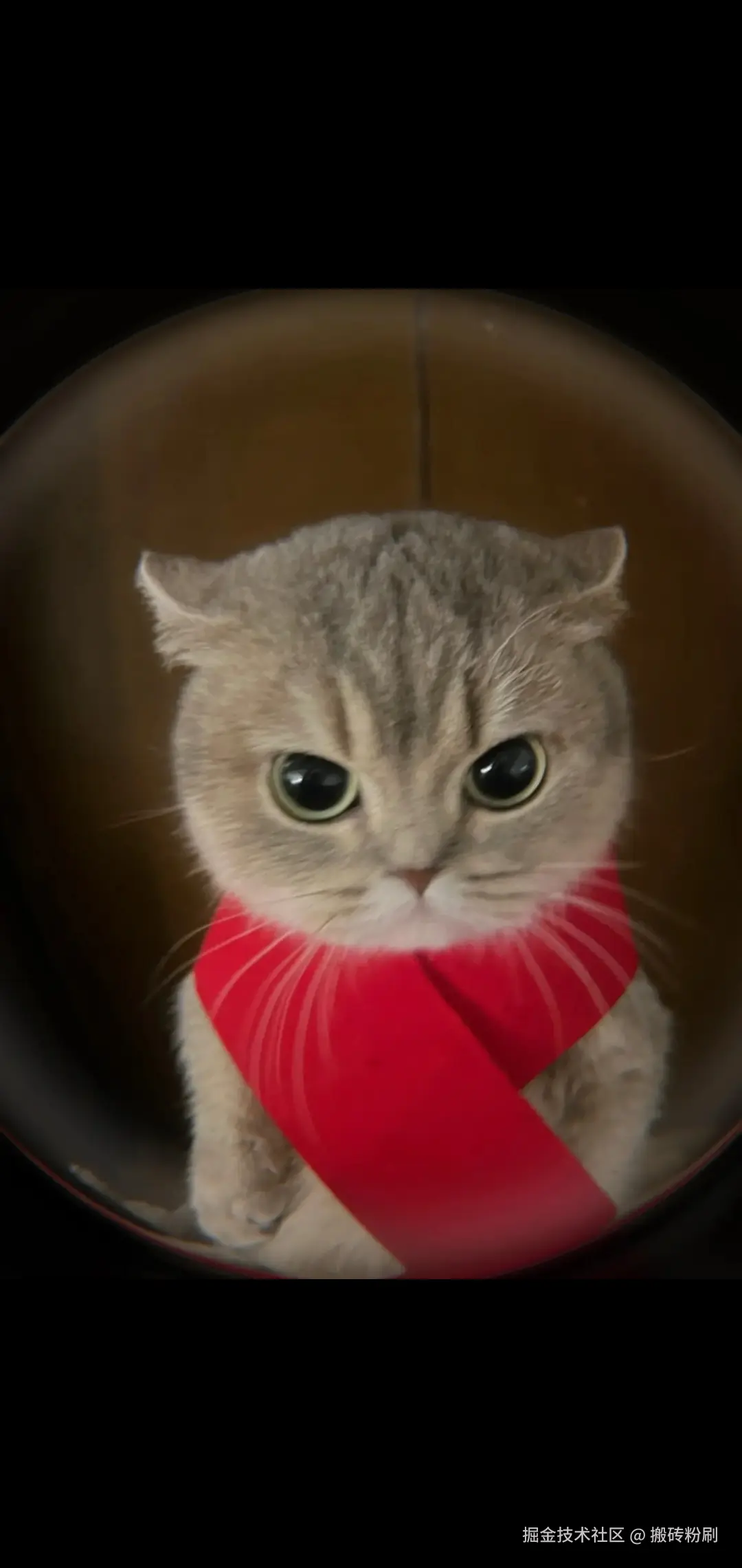 搬砖粉刷于2024-11-27 15:38发布的图片