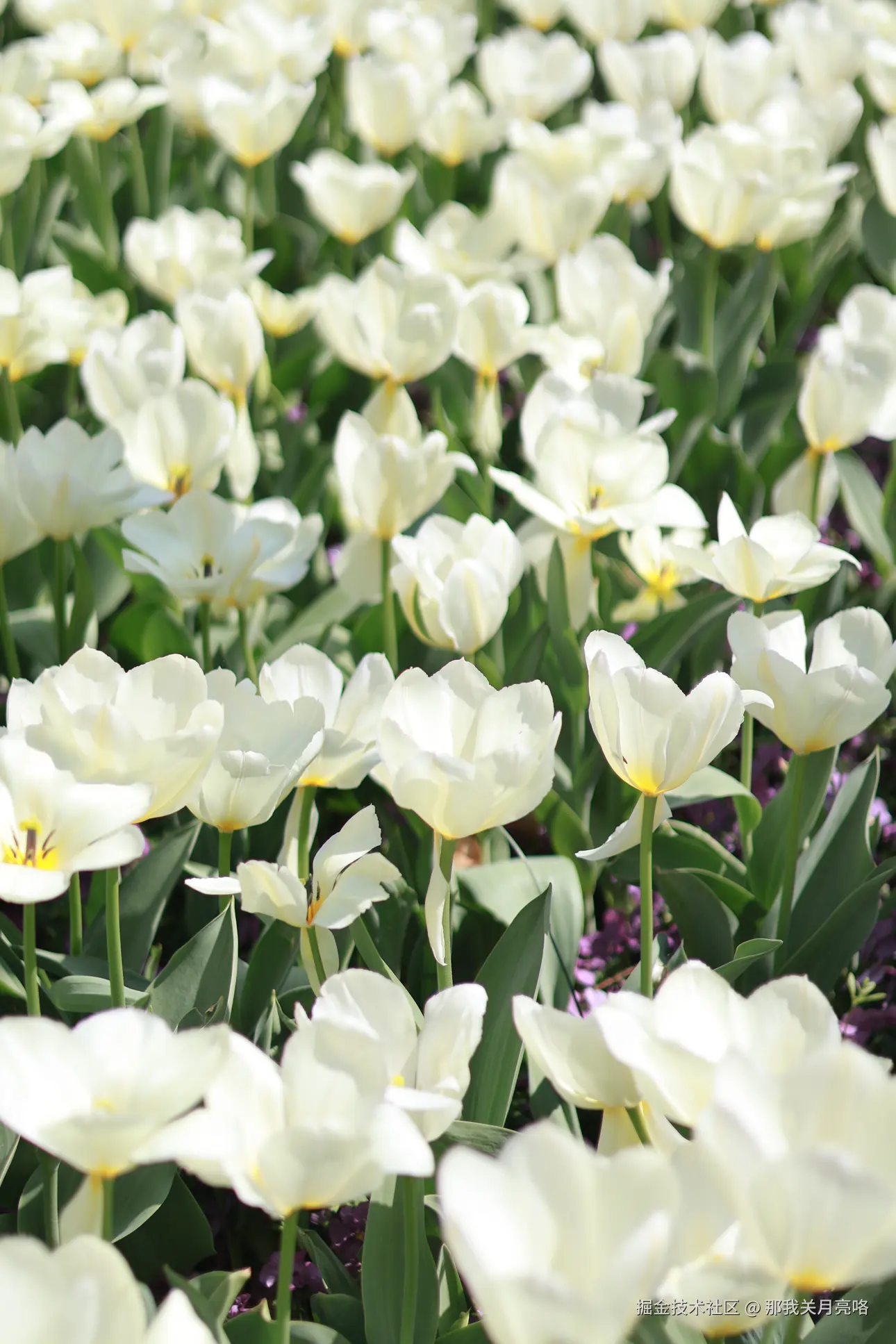 那我关月亮咯于2025-03-24 09:35发布的图片