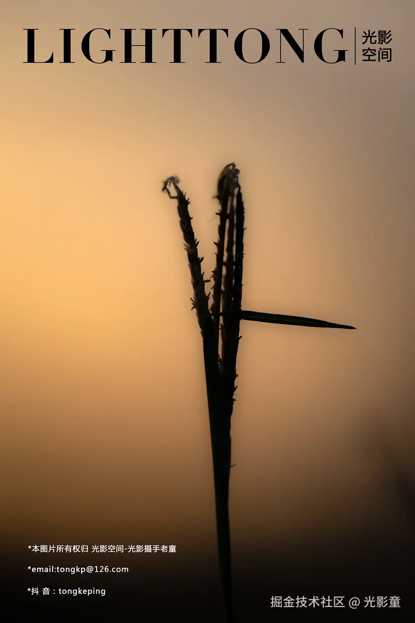 光影童于2024-12-01 08:33发布的图片