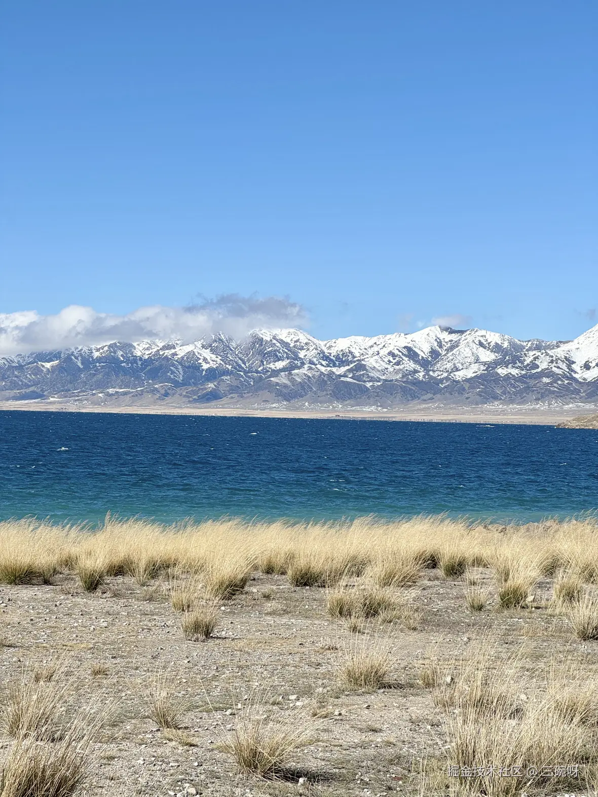 三碗呀于2025-10-23 02:38发布的图片