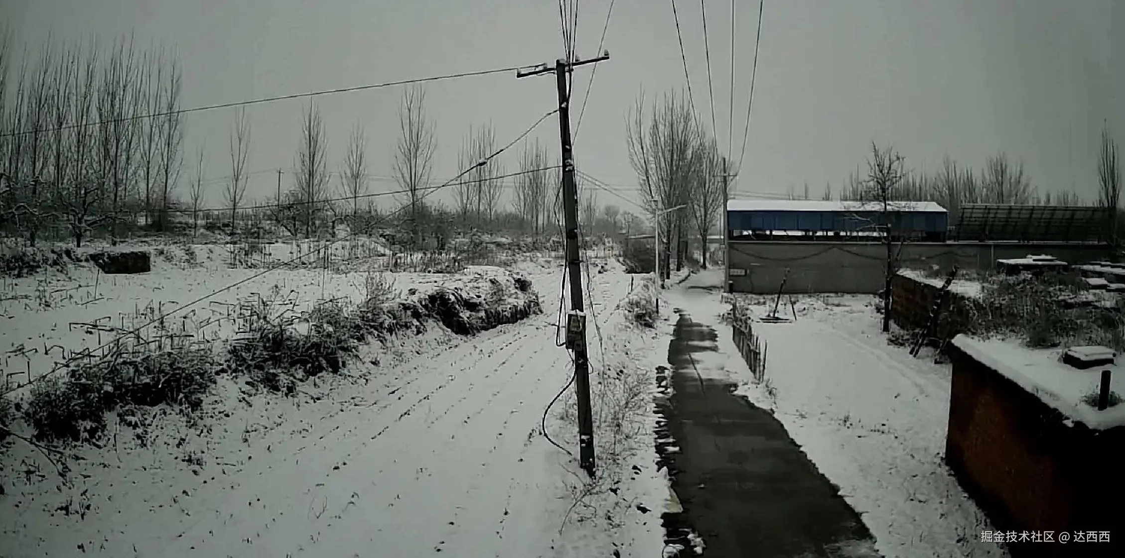 达西西于2025-12-12 15:35发布的图片