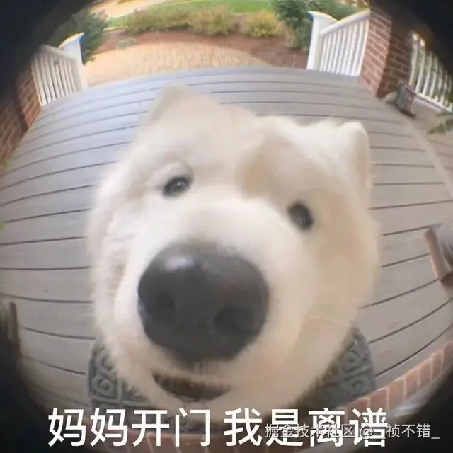 _祯不错_于2024-07-24 14:30发布的图片