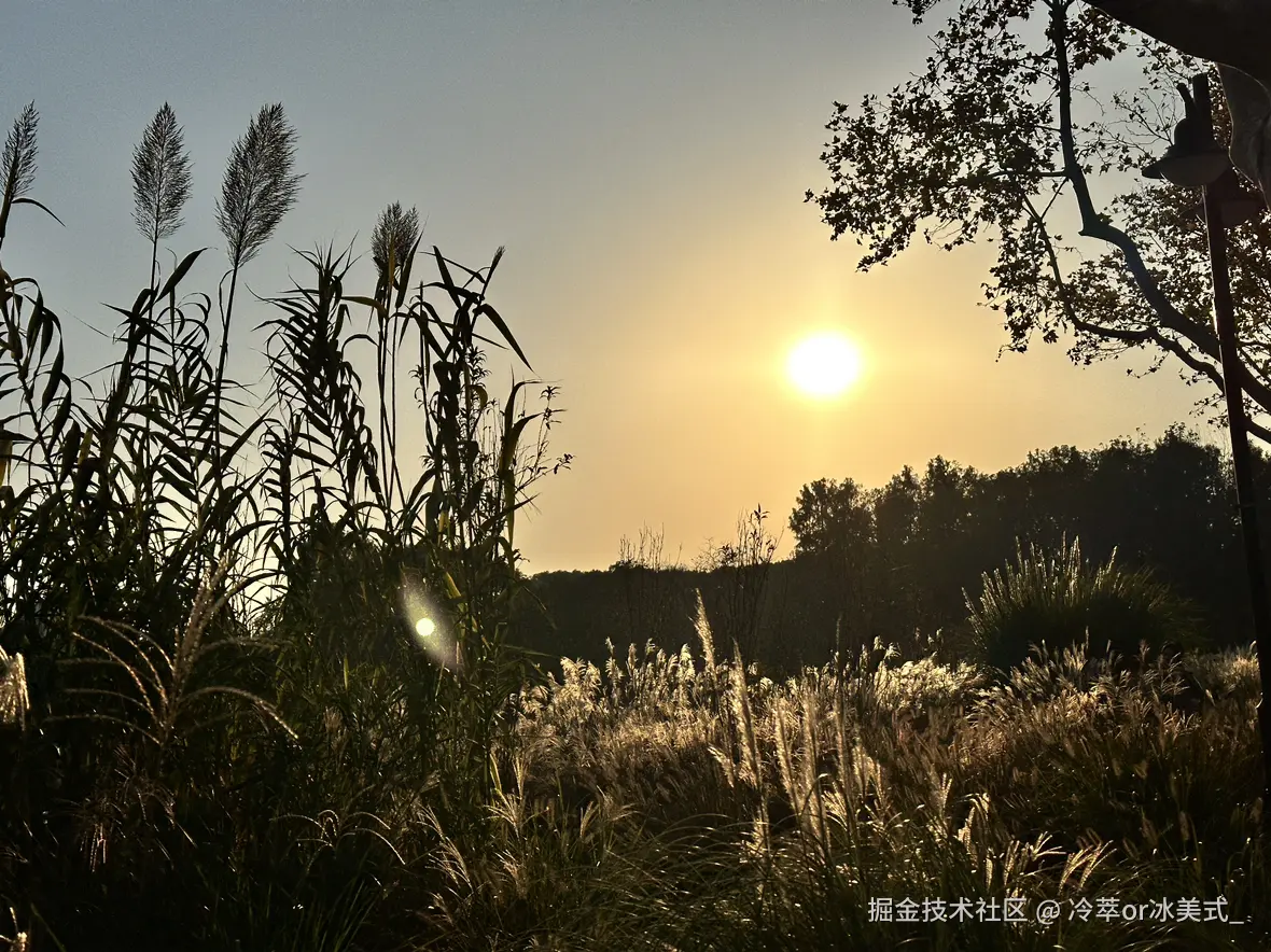冷萃or冰美式_于2024-12-02 05:09发布的图片