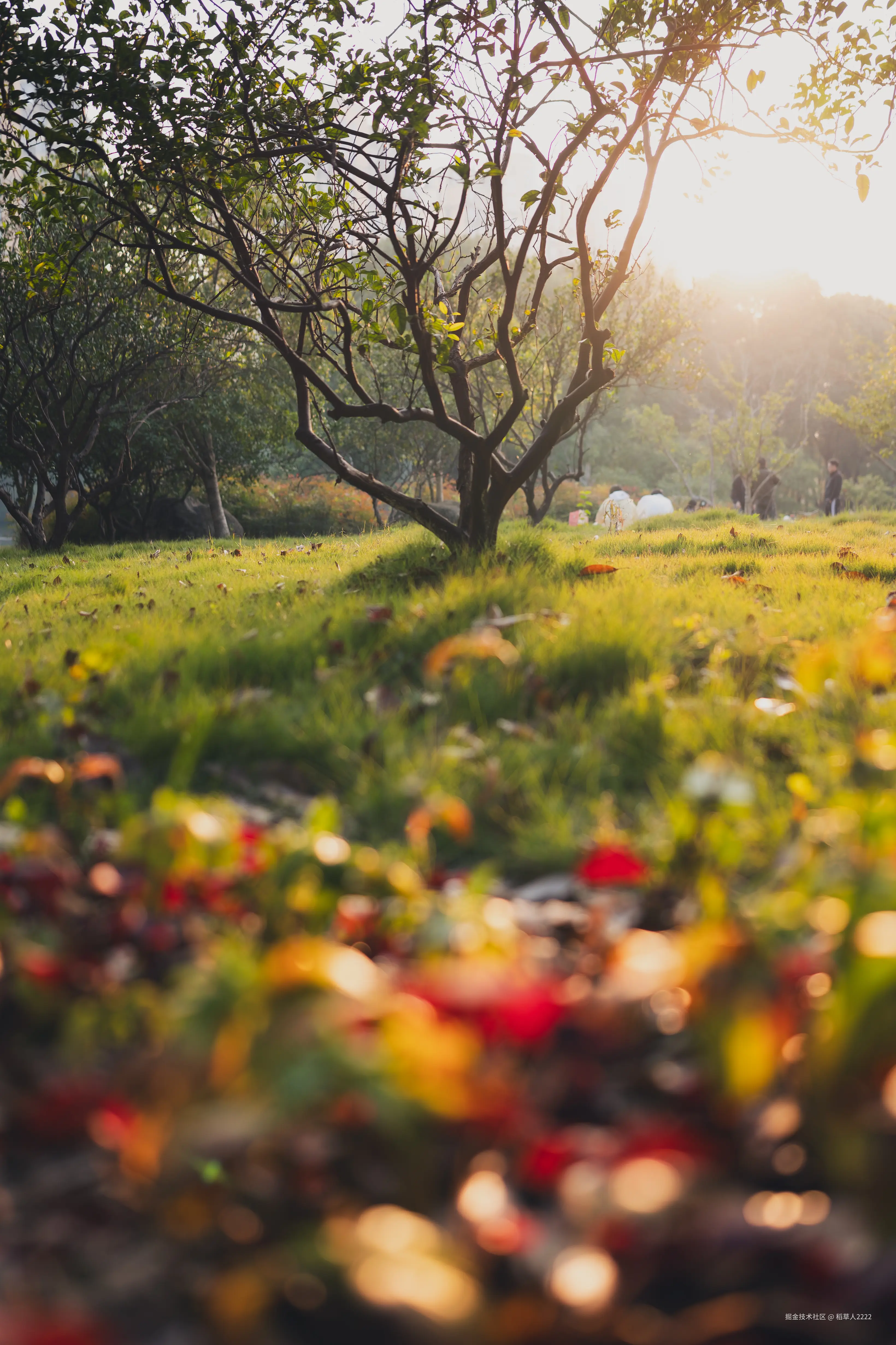 稻草人2222于2025-11-24 10:33发布的图片