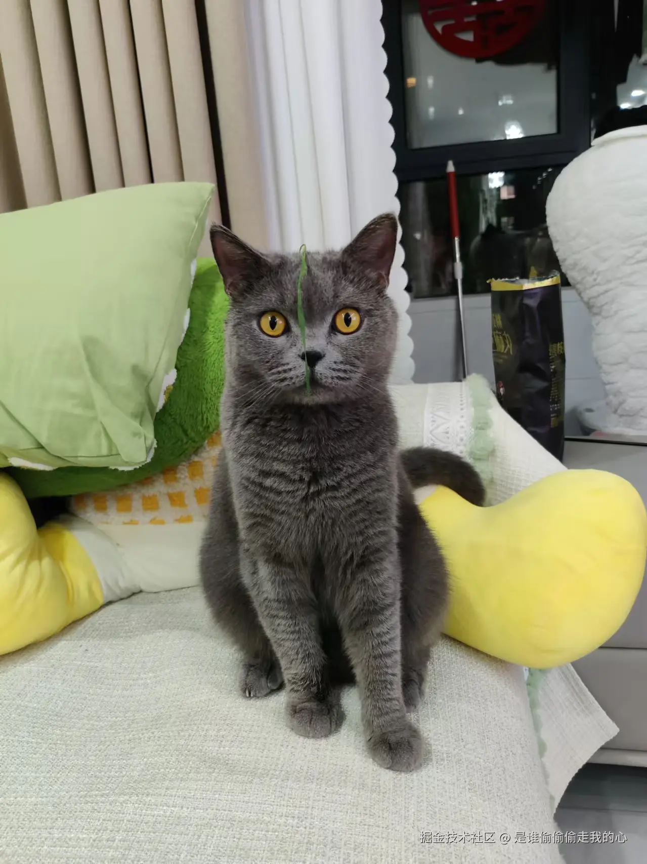 是谁偷偷偷走我的心于2024-11-18 16:27发布的图片