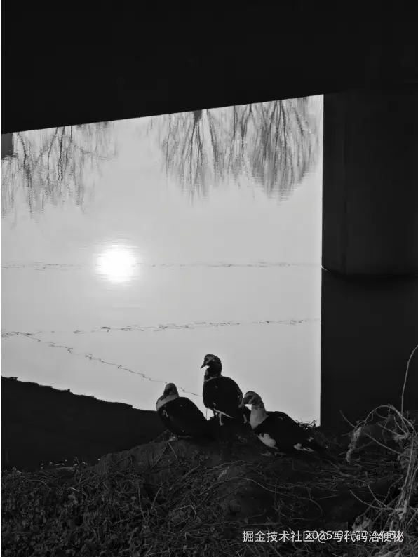 写代码治便秘于2025-05-09 06:43发布的图片