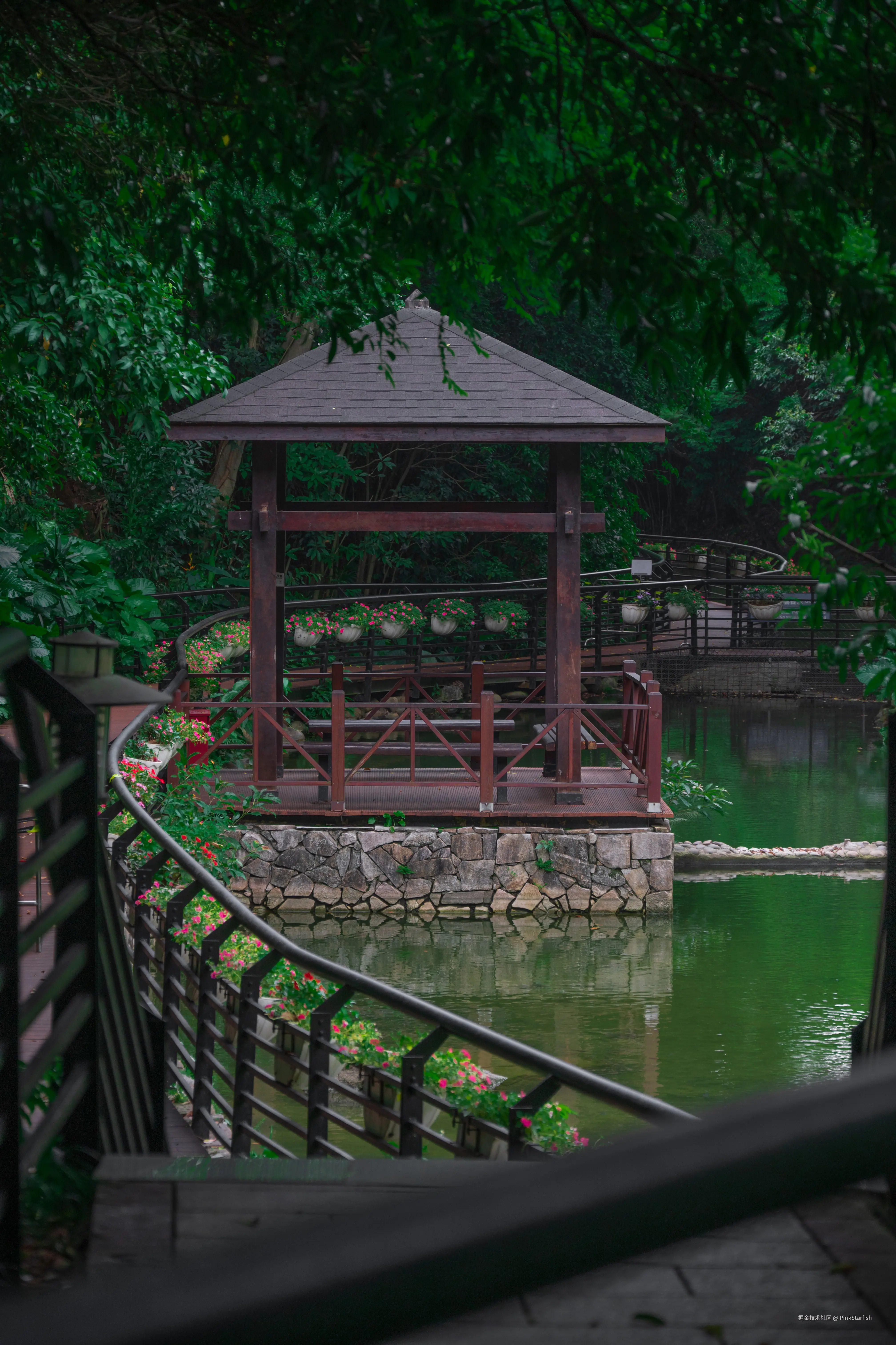 PinkStarfish于2025-07-28 15:35发布的图片