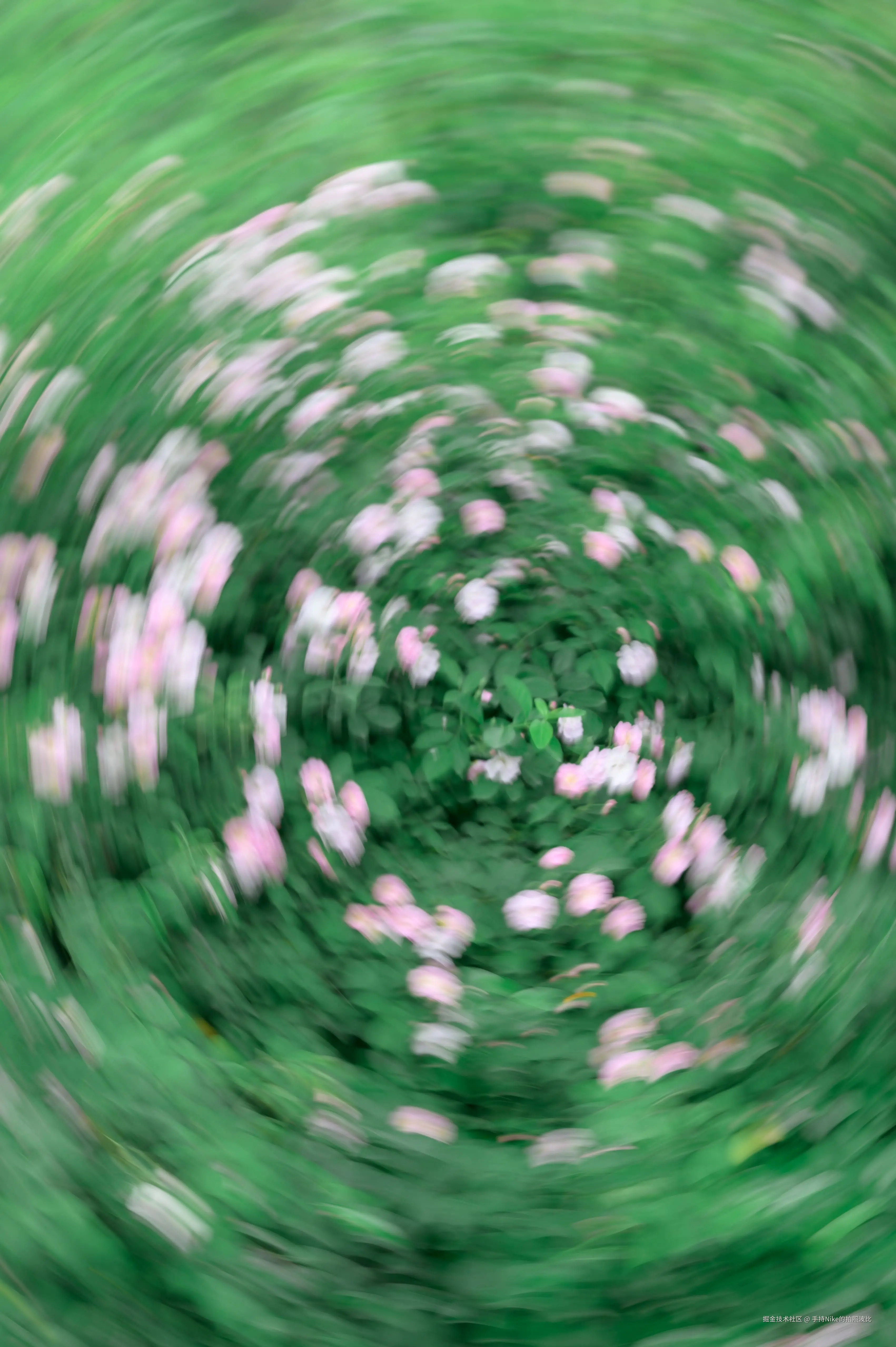 手持Nike的拍照波比于2025-05-07 15:02发布的图片