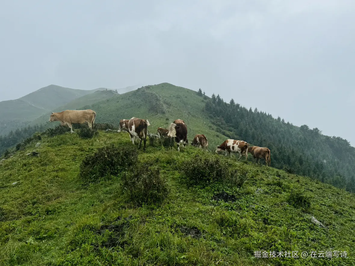 在云端写诗于2025-08-25 14:25发布的图片