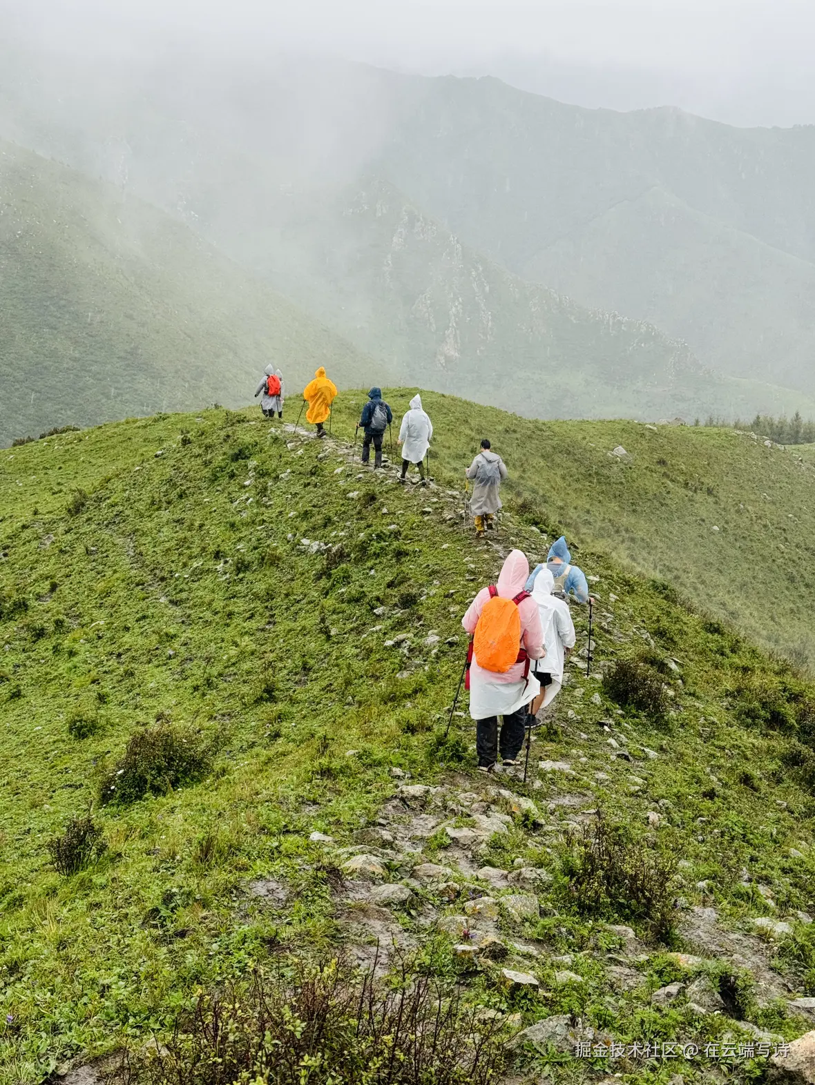 在云端写诗于2025-08-25 14:25发布的图片
