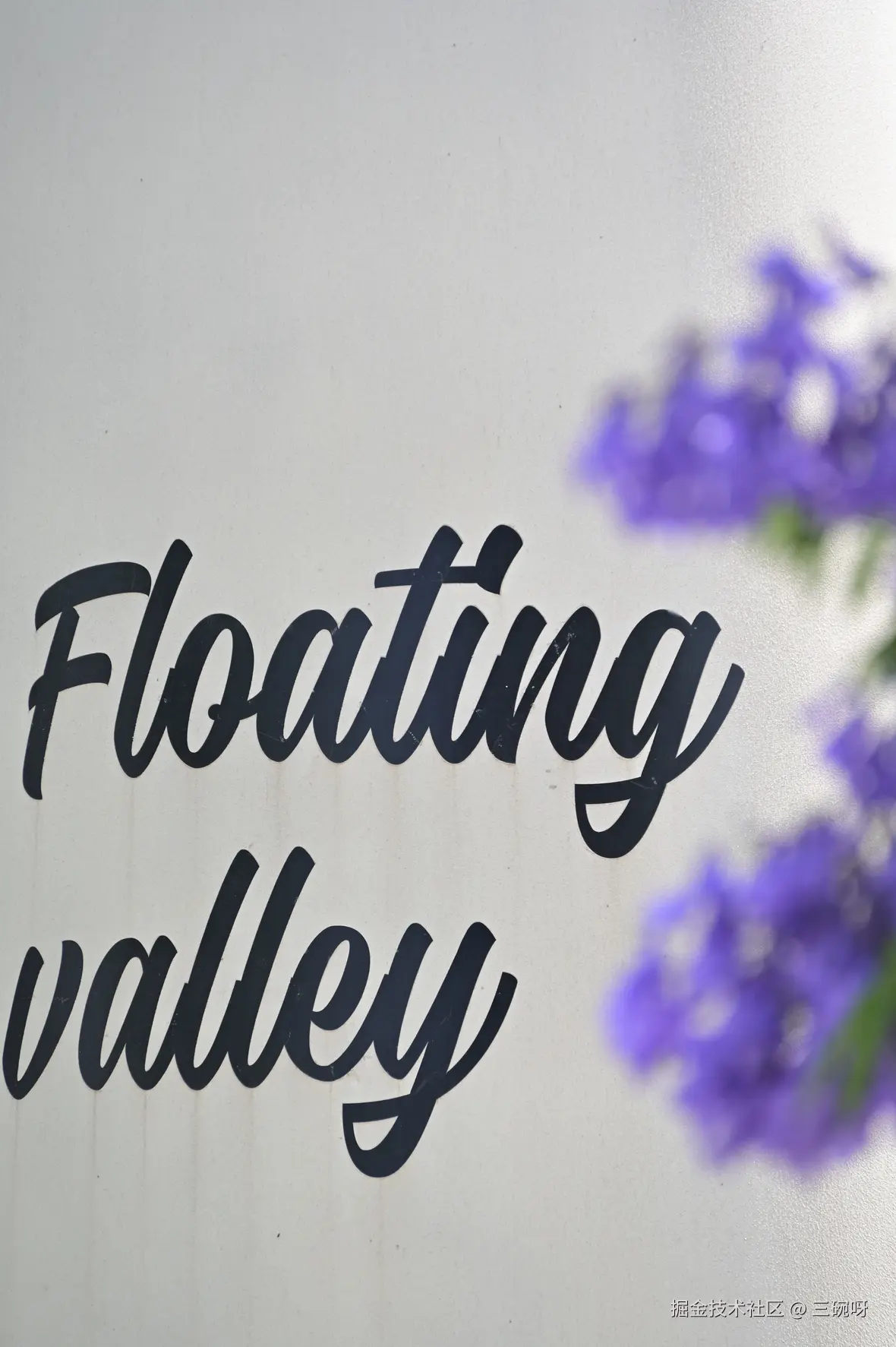 三碗呀于2025-05-26 10:33发布的图片