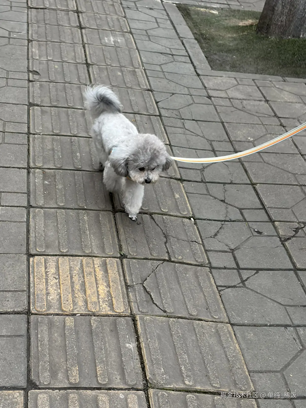 单纯_稀饭于2026-03-30 09:12发布的图片