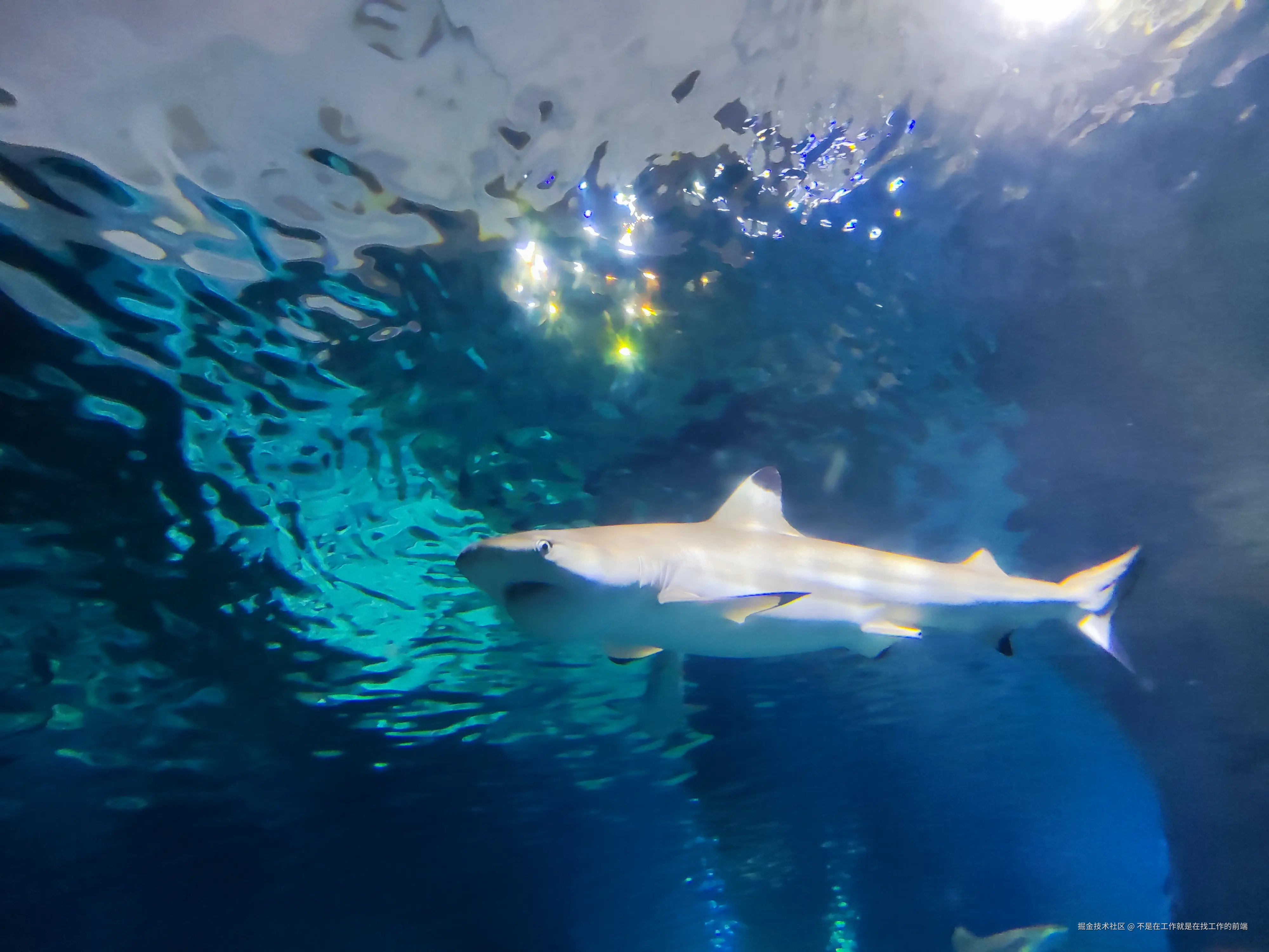 不是在工作就是在找工作的前端于2024-08-12 09:53发布的图片