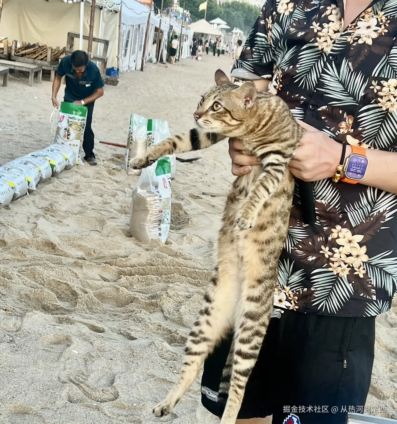 从热河到定西于2024-09-03 13:51发布的图片