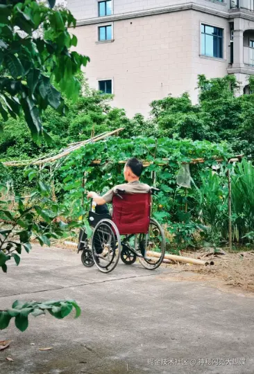 神秘闪亮大蝴蝶于2026-06-23 02:22发布的图片