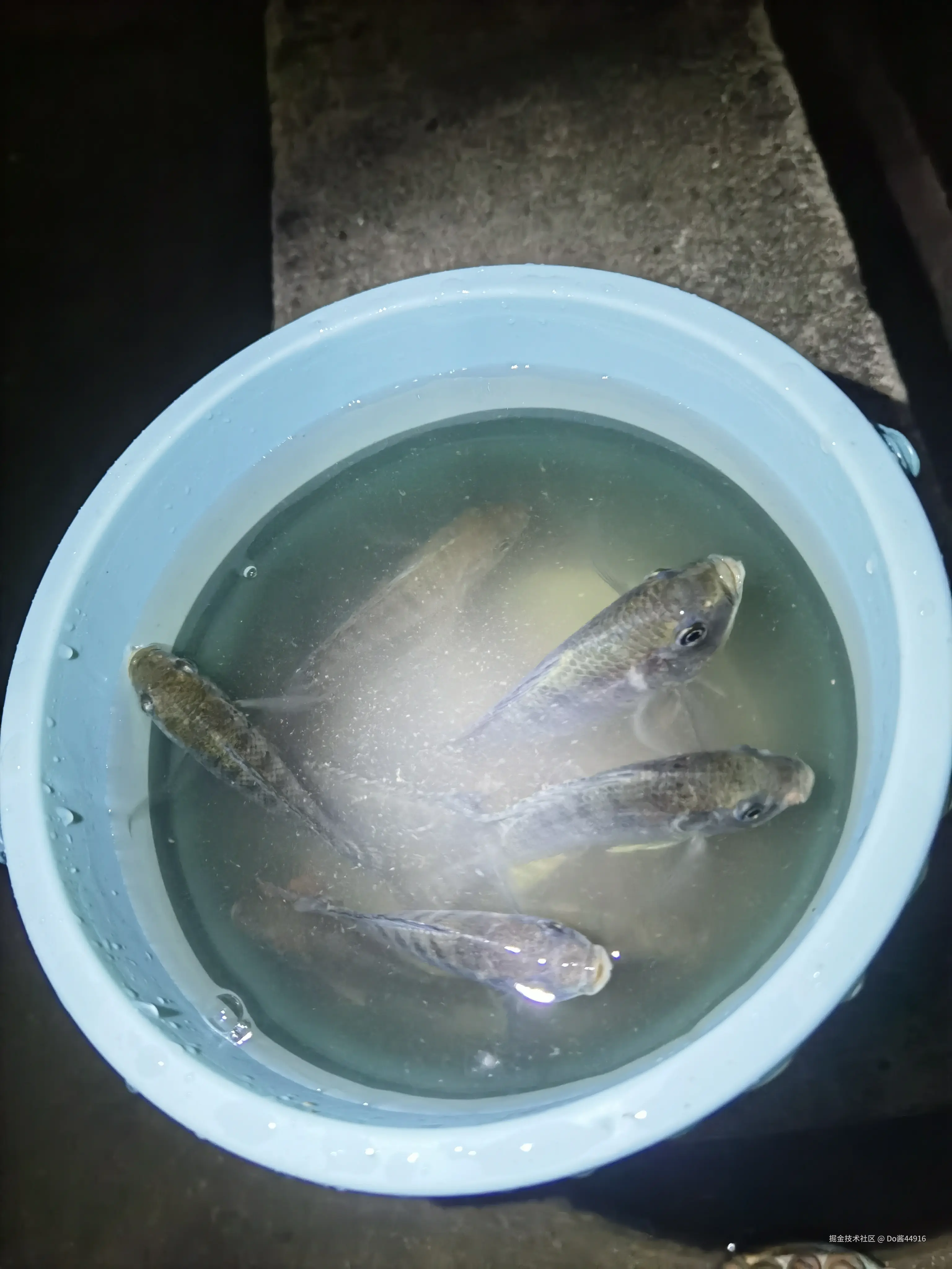 Do酱44916于2024-11-19 16:14发布的图片