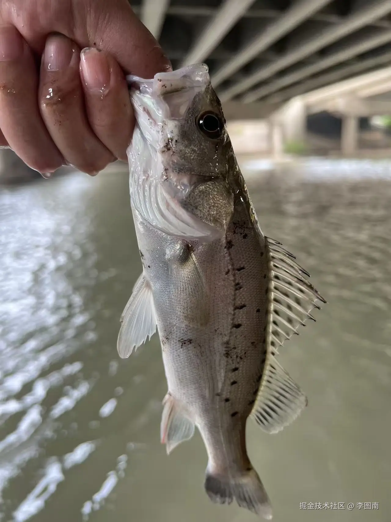 李图南于2025-10-15 15:20发布的图片