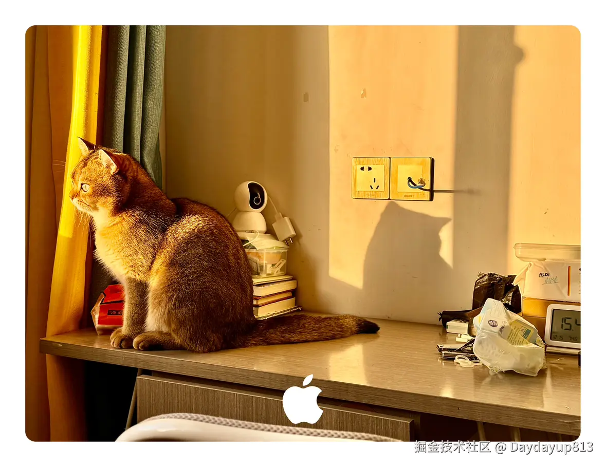 Daydayup813于2024-12-16 14:14发布的图片