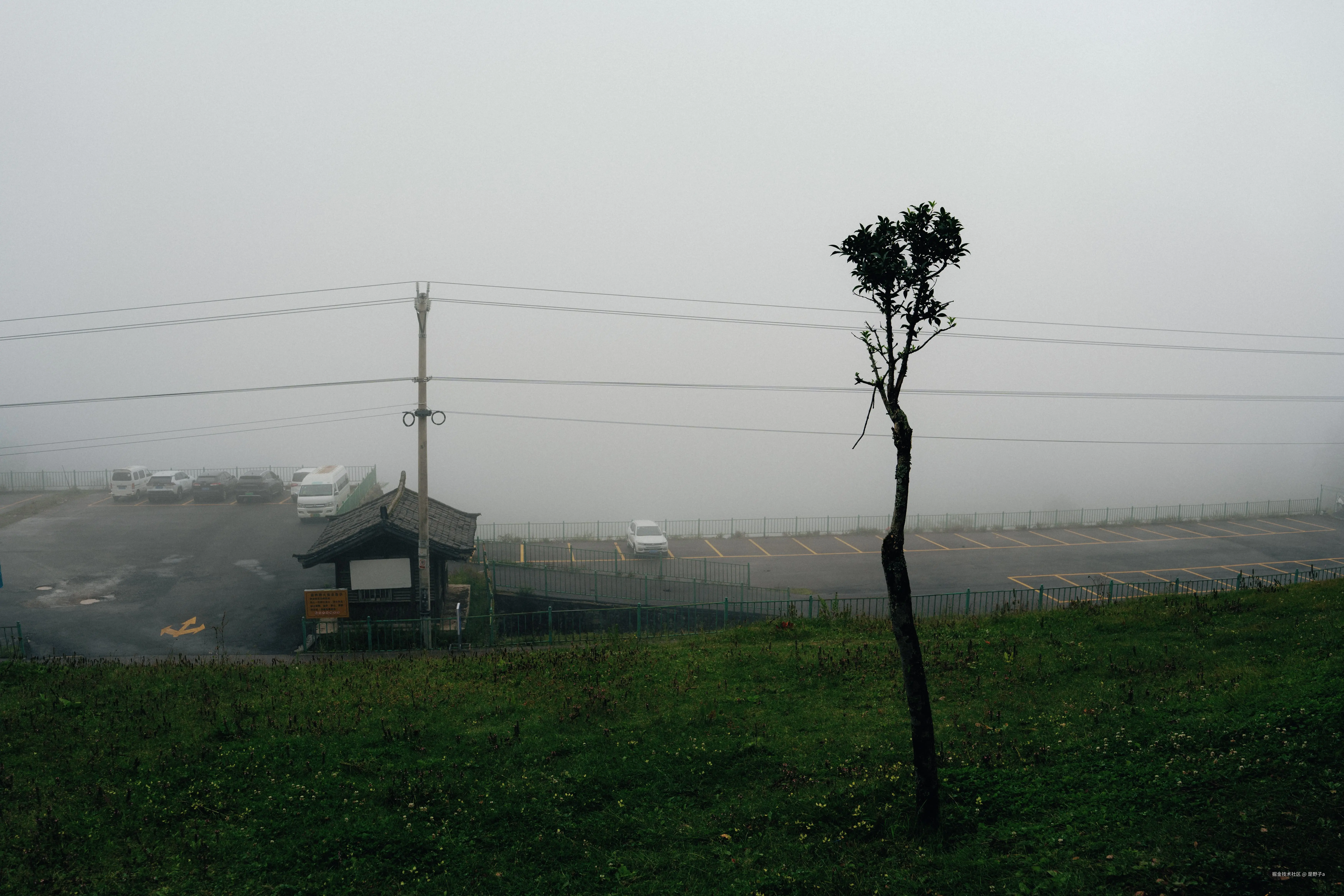 是野子a于2024-12-04 20:13发布的图片