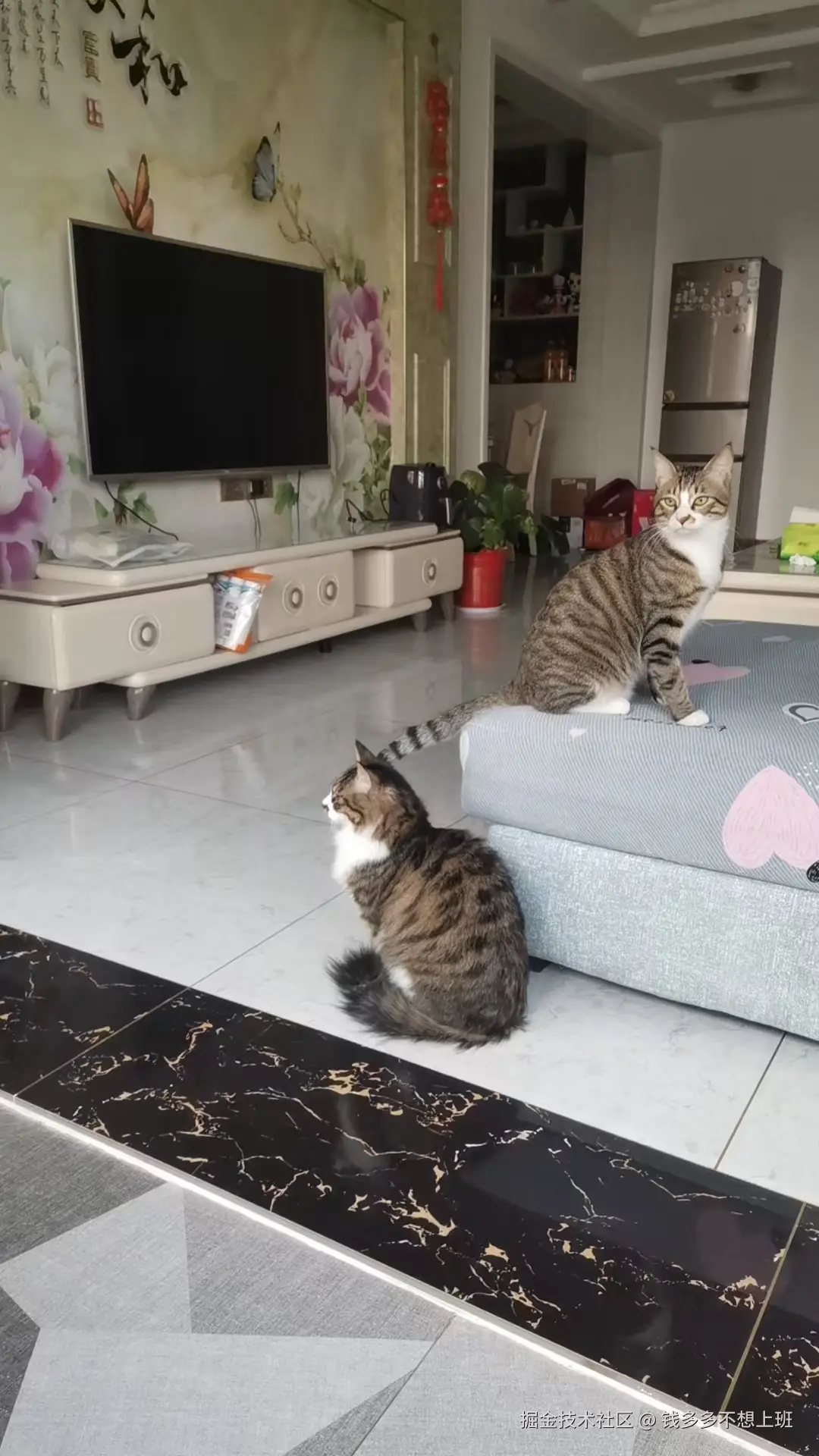 钱多多不想上班于2026-03-03 11:31发布的图片