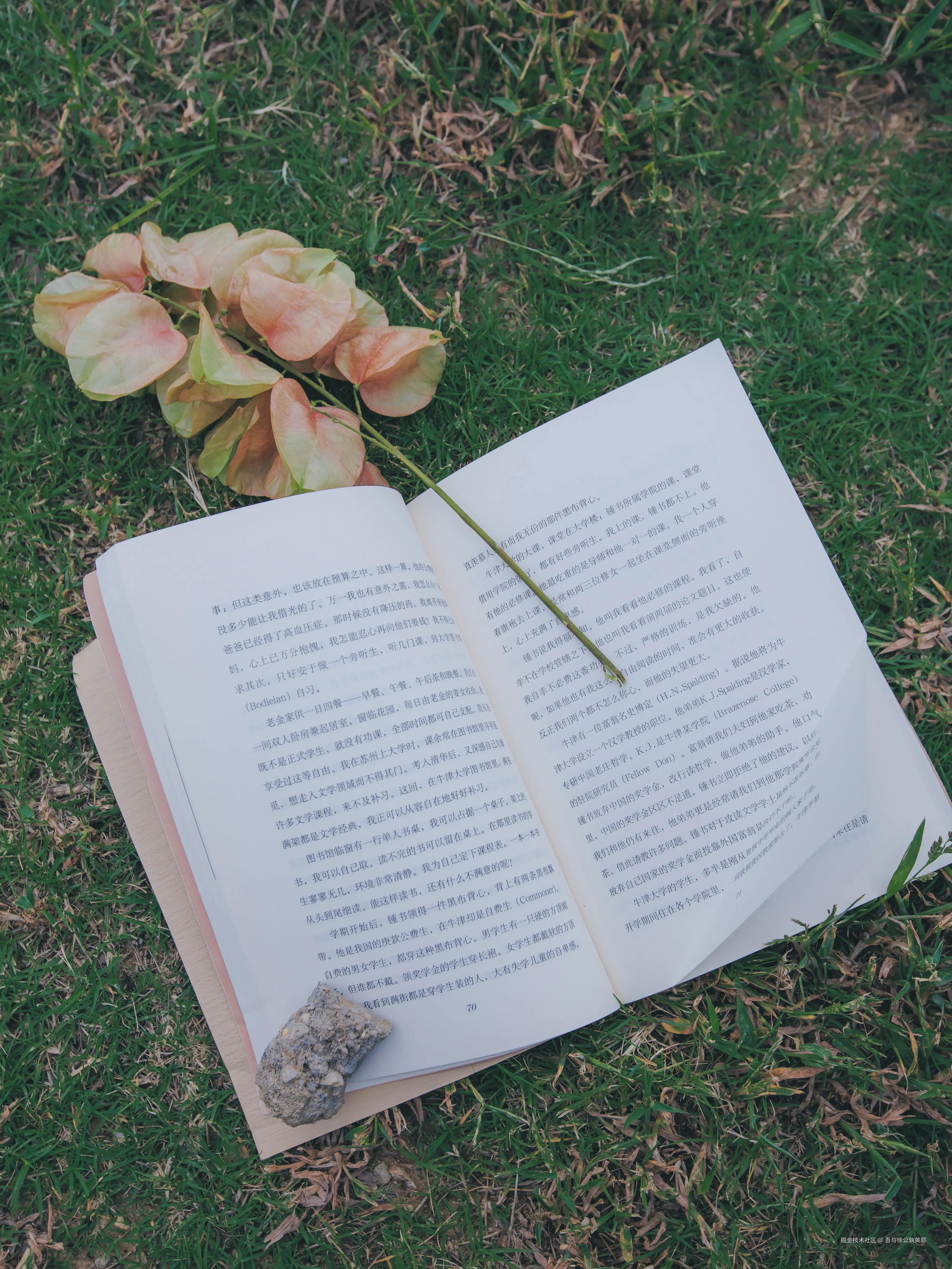 吾与徐公孰美耶于2025-10-27 10:15发布的图片