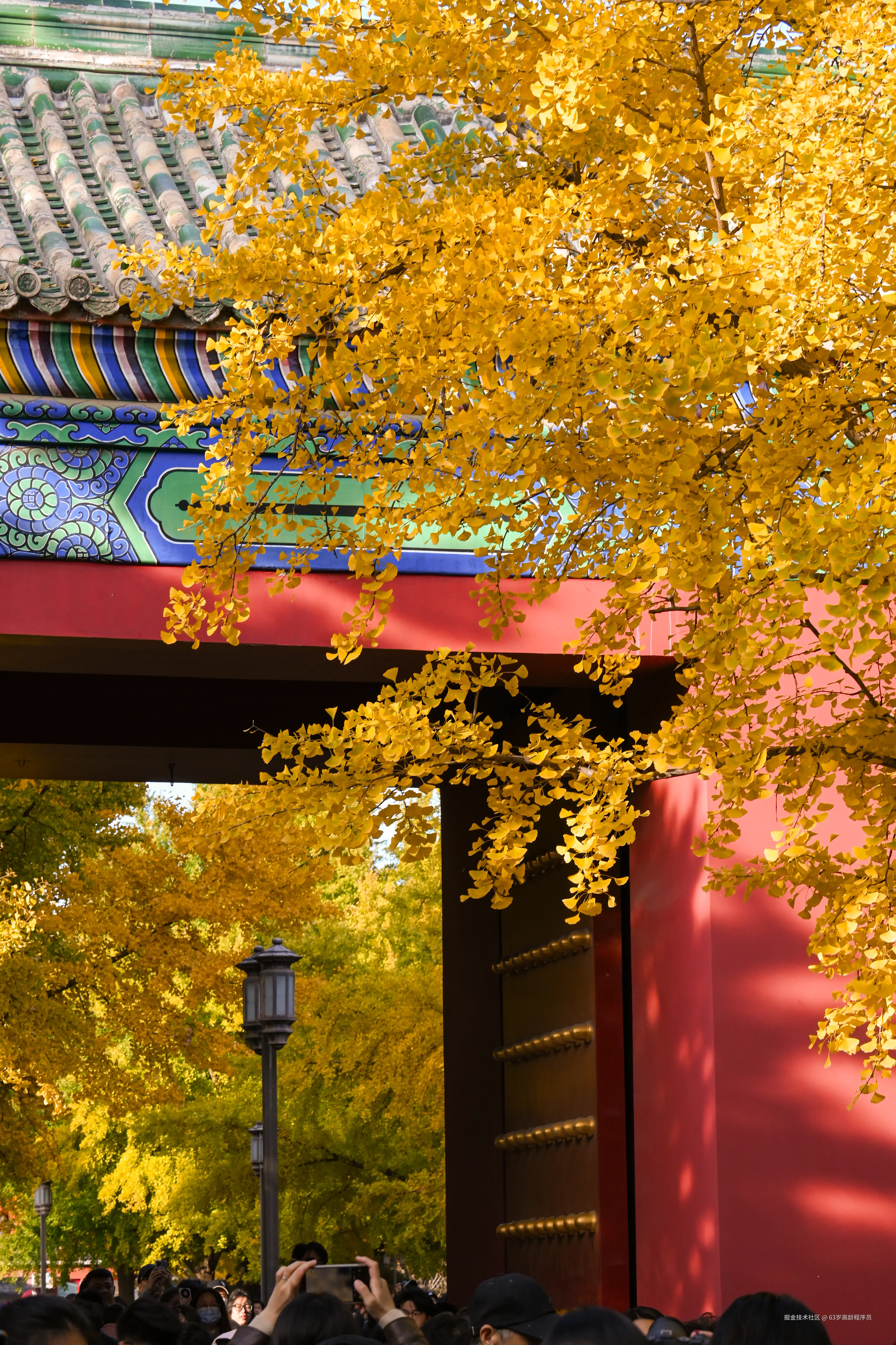 63岁高龄程序员于2025-11-05 15:17发布的图片