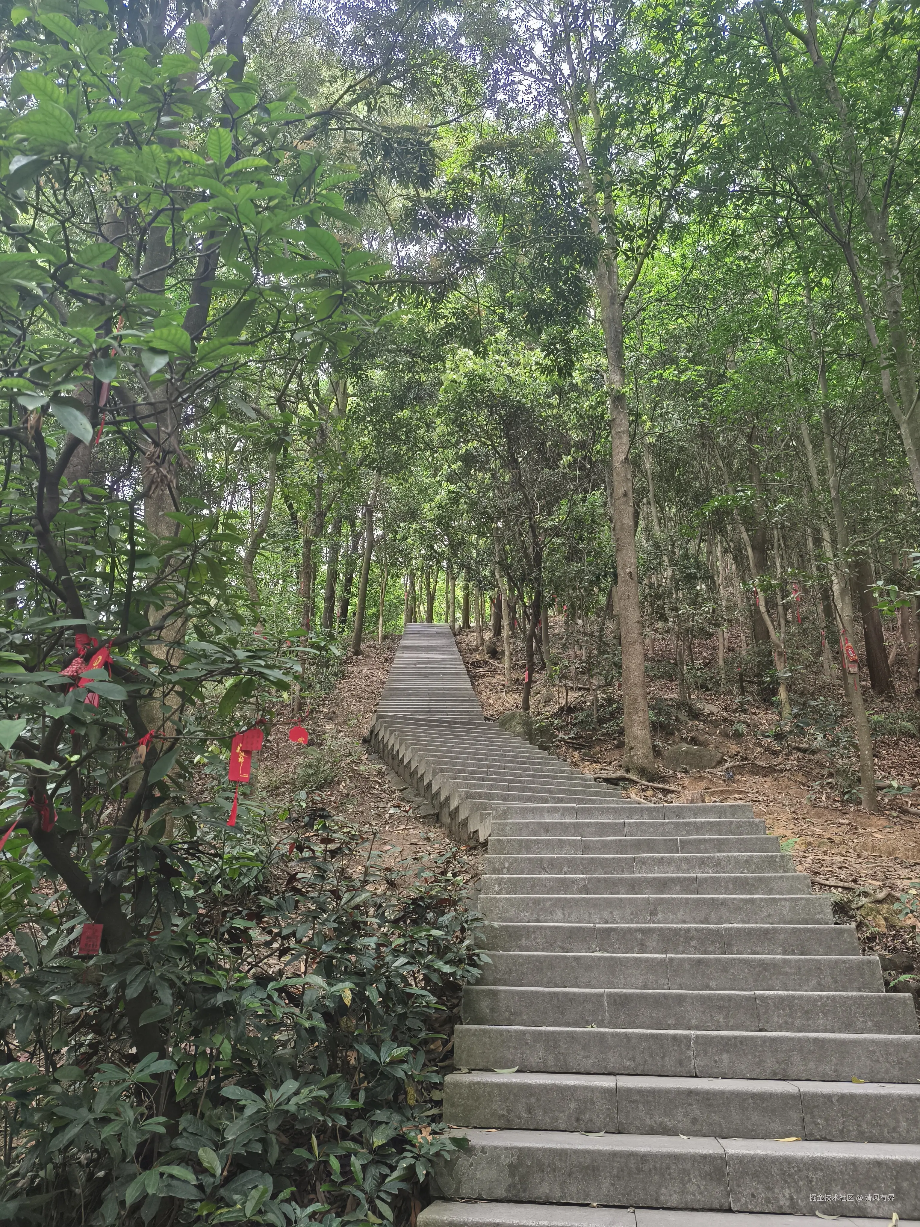 清风有界于2026-04-10 14:17发布的图片