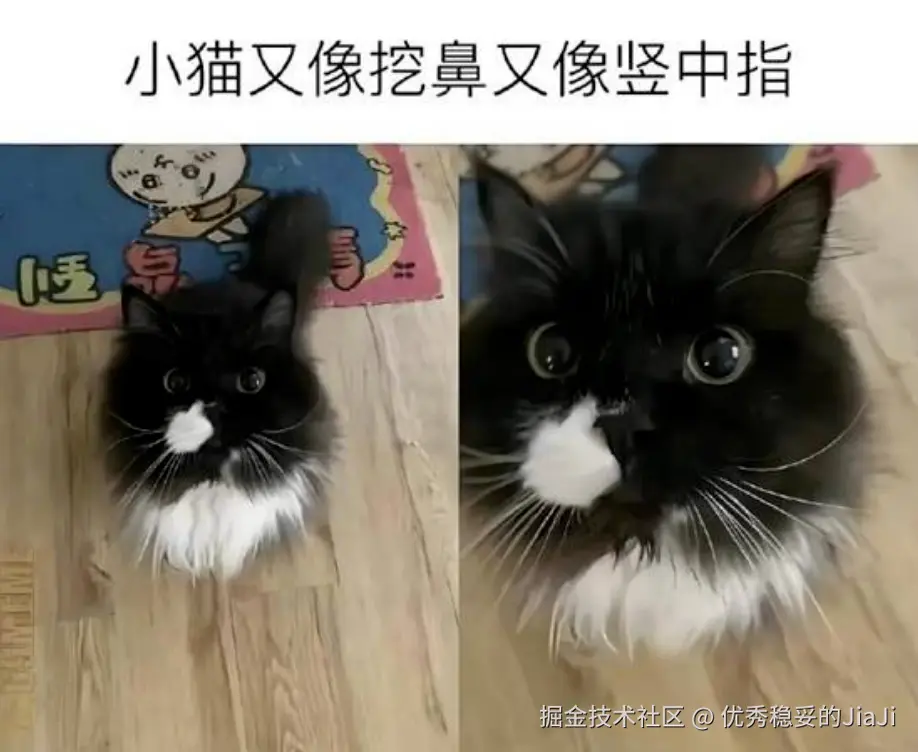 优秀稳妥的JiaJi于2026-08-18 08:12发布的图片
