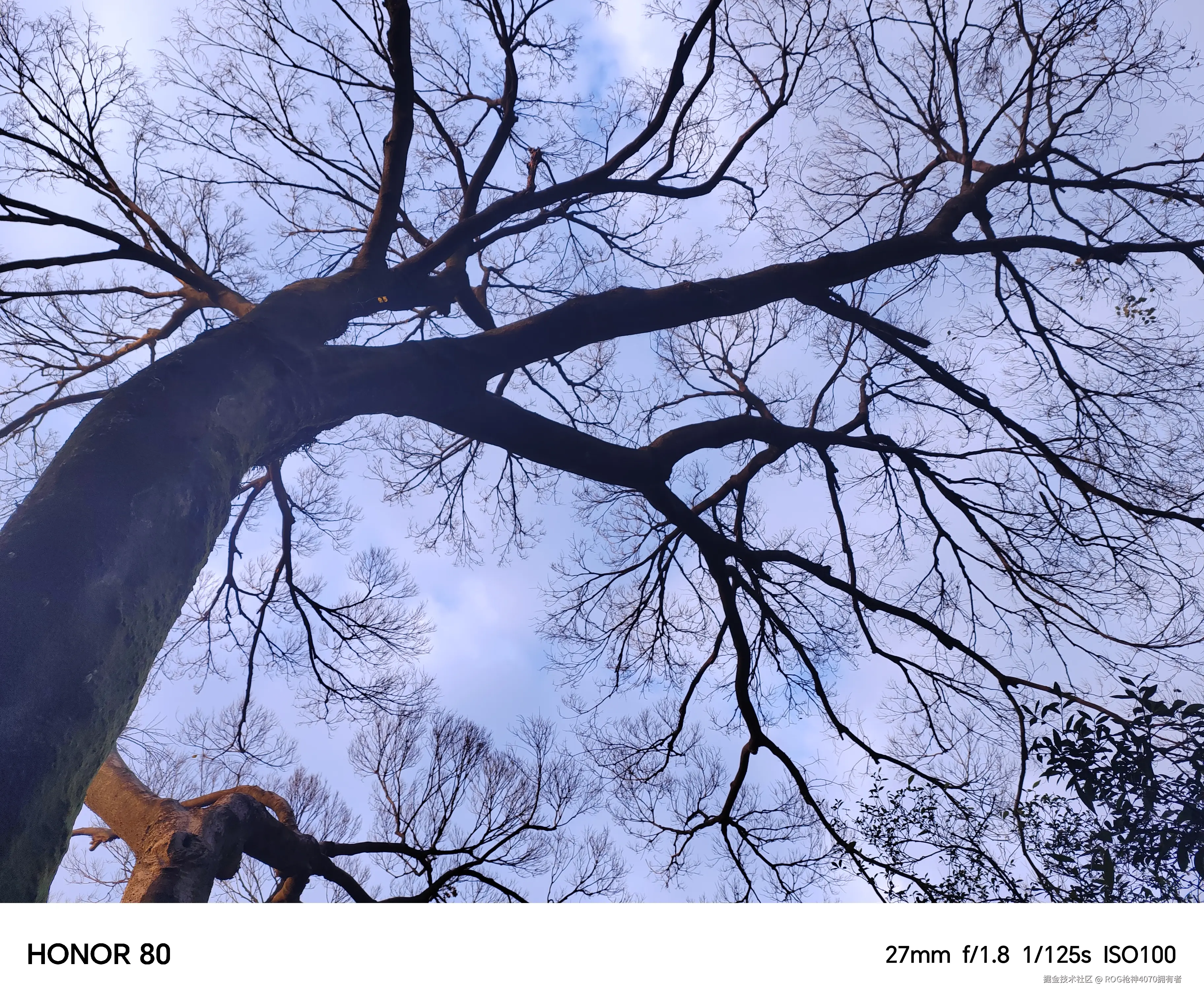 ROG枪神4070拥有者于2024-12-23 10:25发布的图片