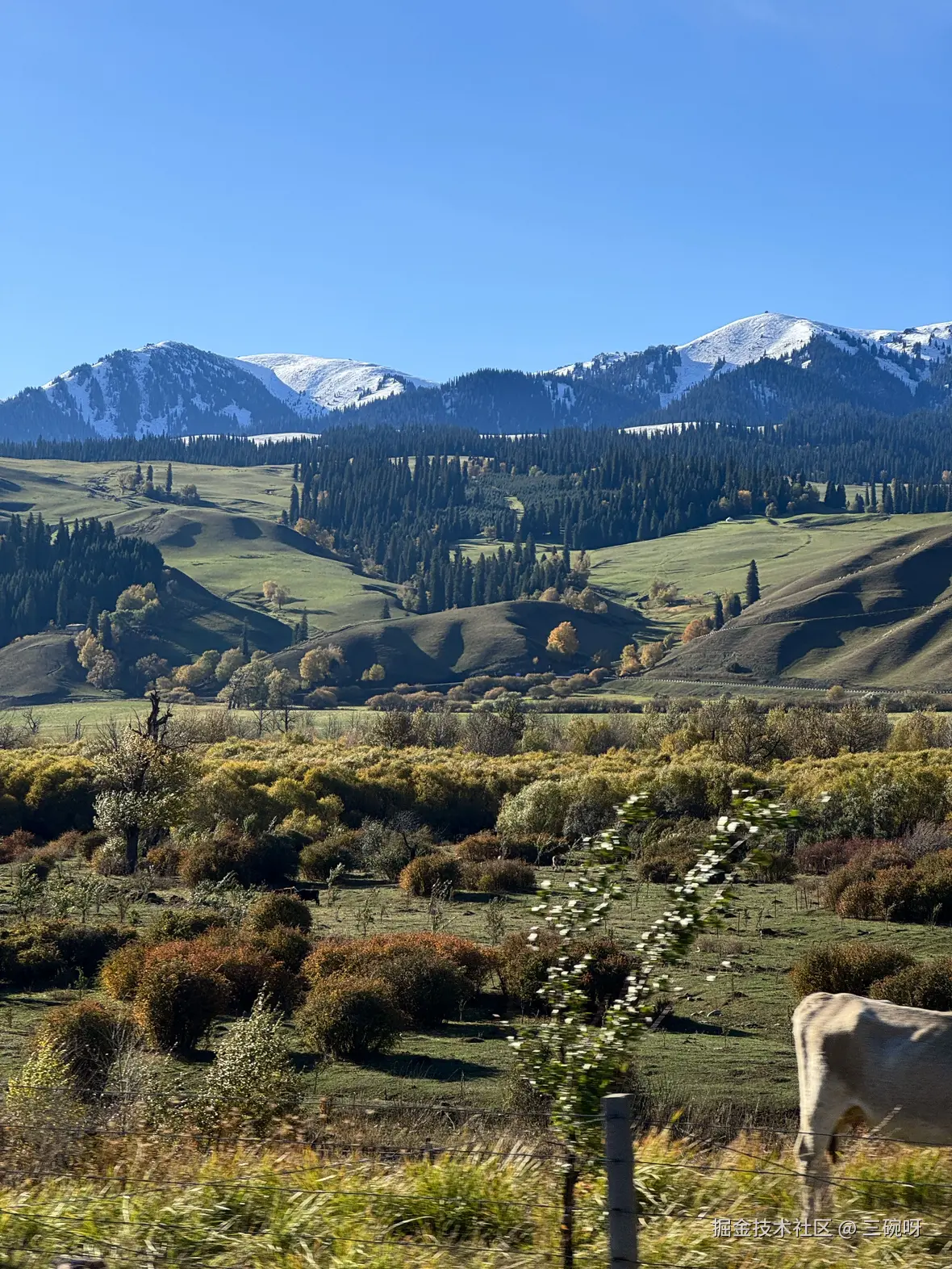 三碗呀于2025-10-27 10:45发布的图片