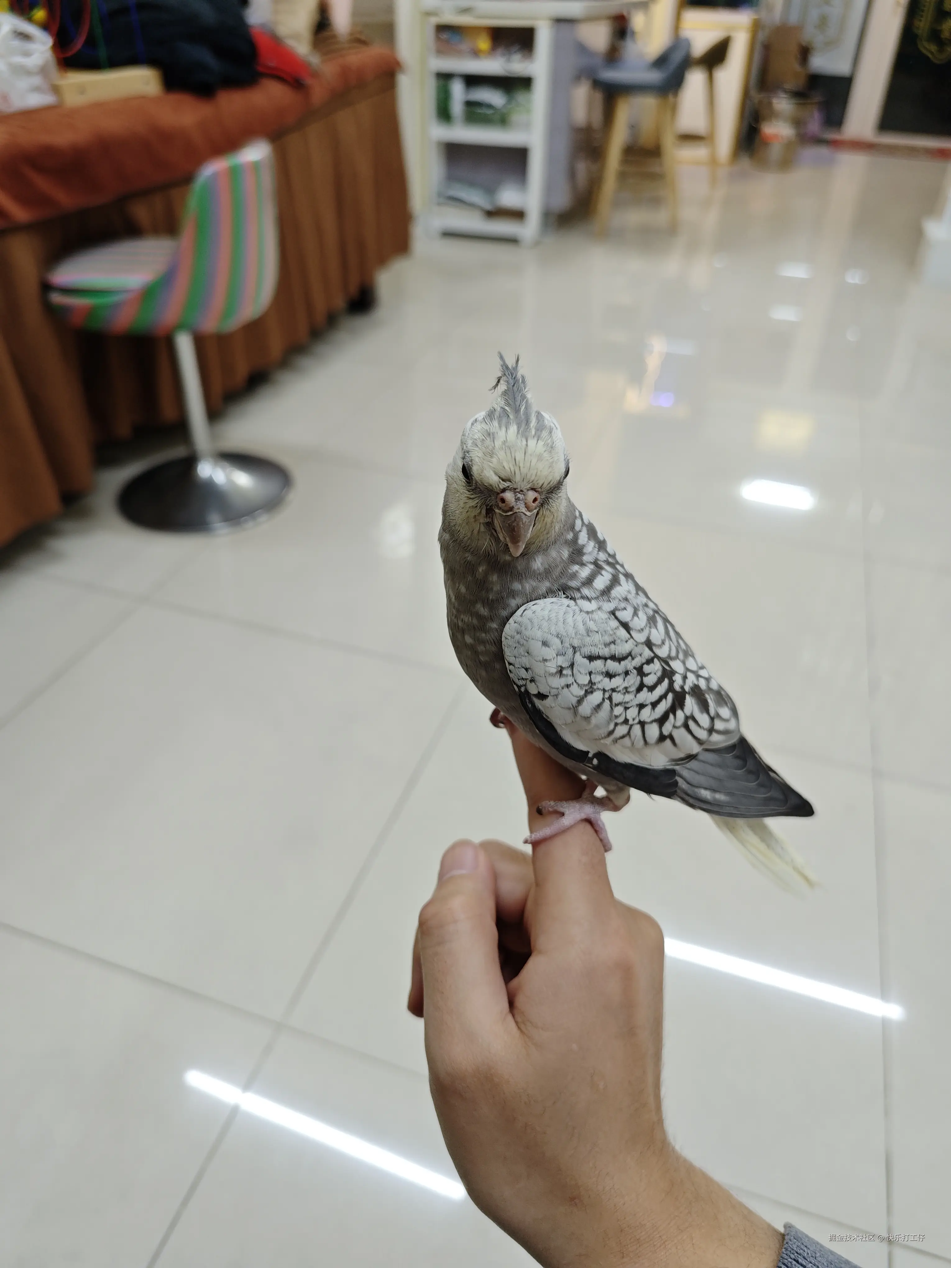 快乐打工仔于2024-12-20 12:32发布的图片