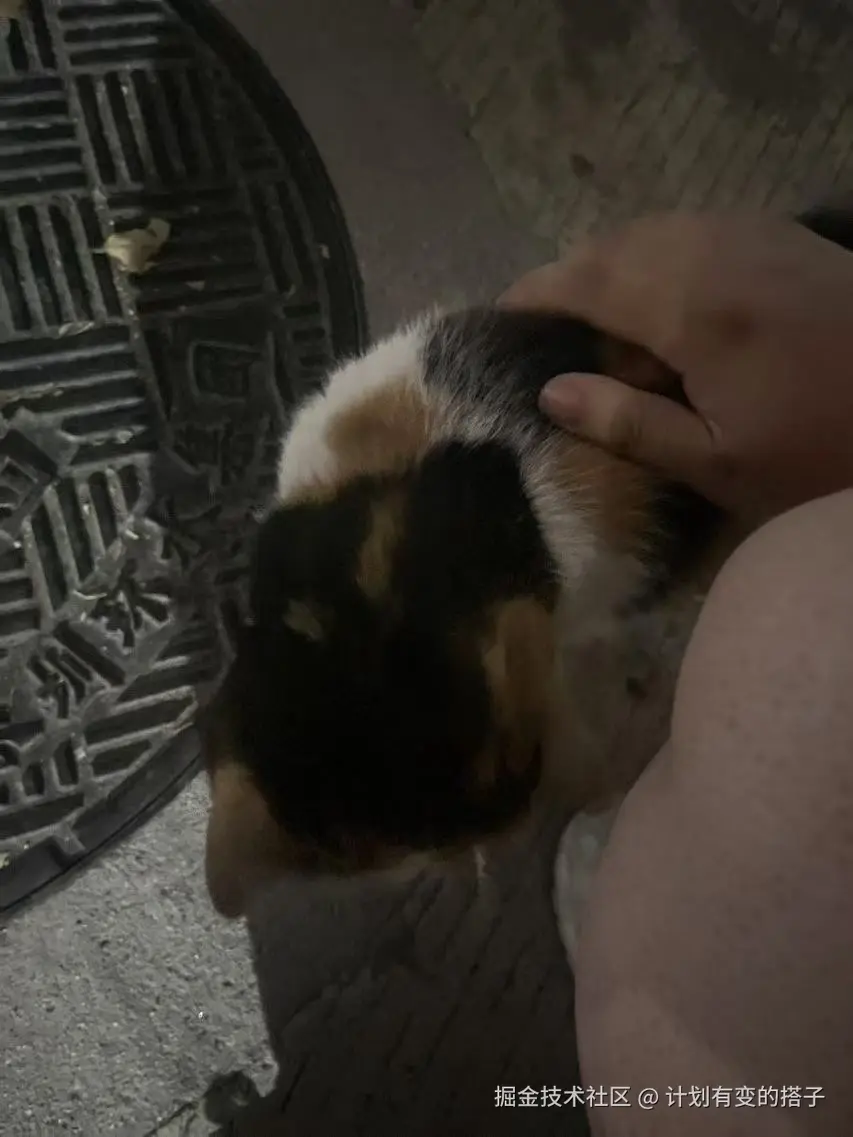 计划有变的搭子于2024-12-24 11:31发布的图片