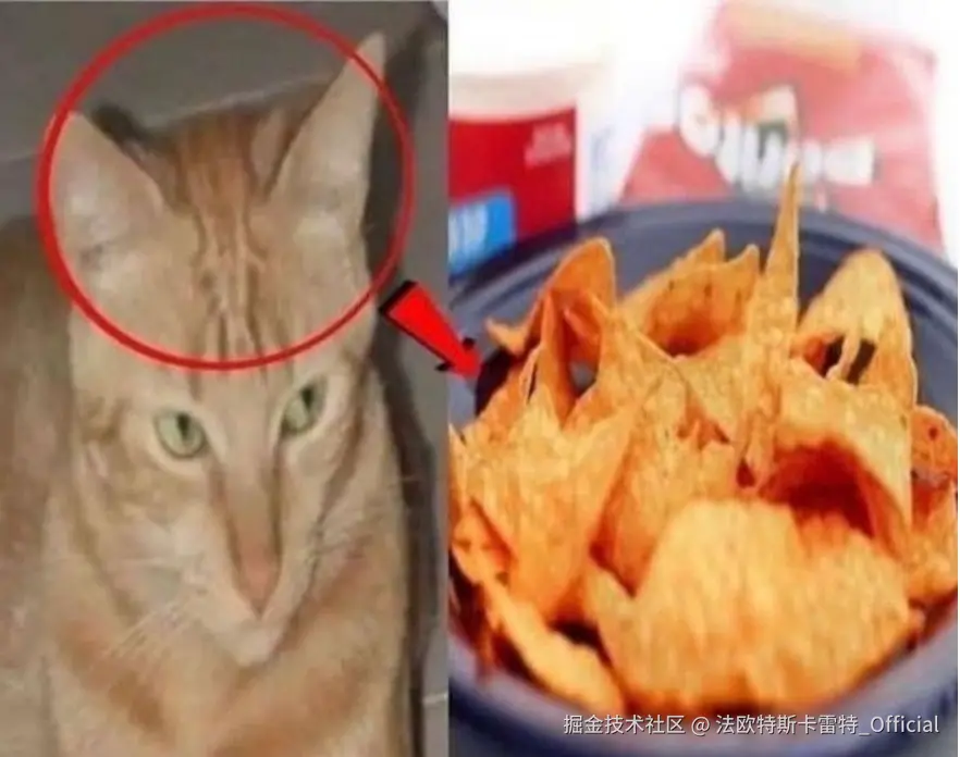 法欧特斯卡雷特_Official于2024-11-22 10:09发布的图片