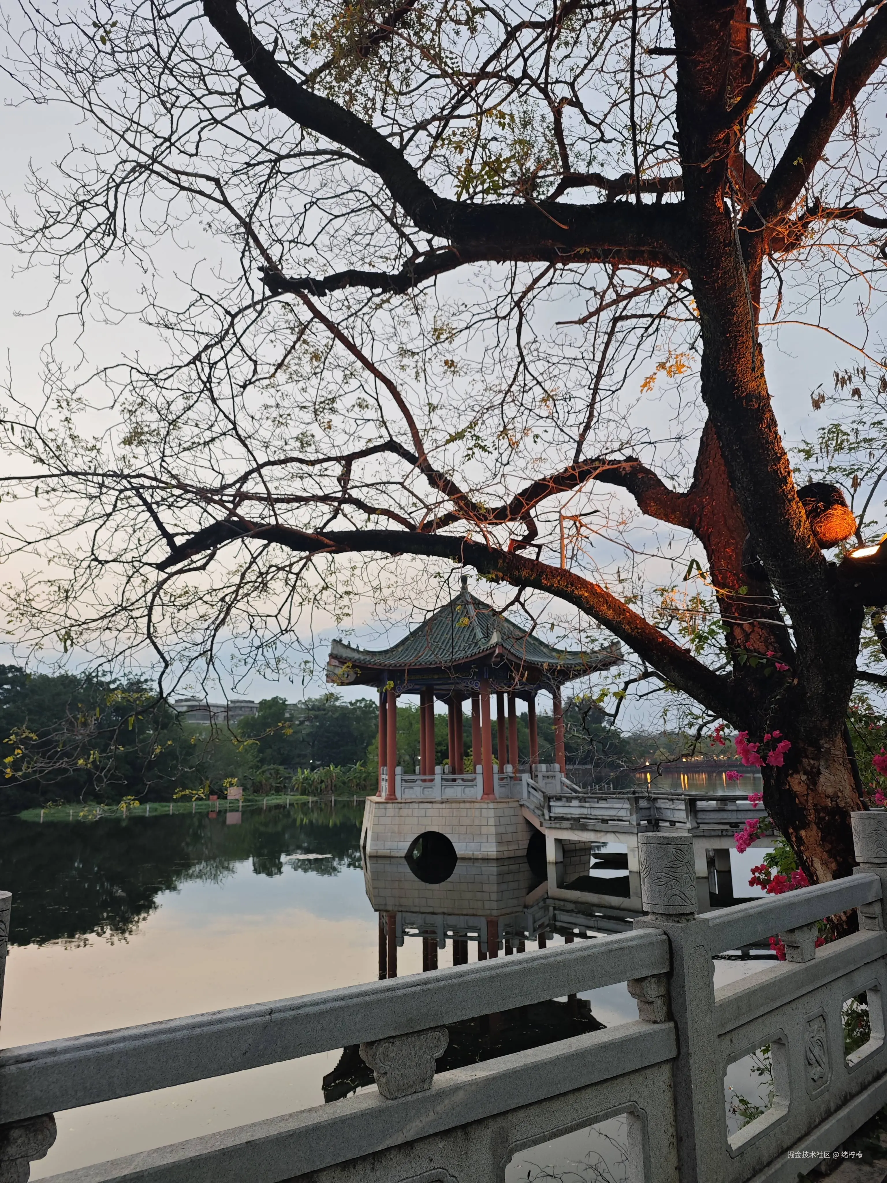 绪柠檬于2026-04-08 11:04发布的图片