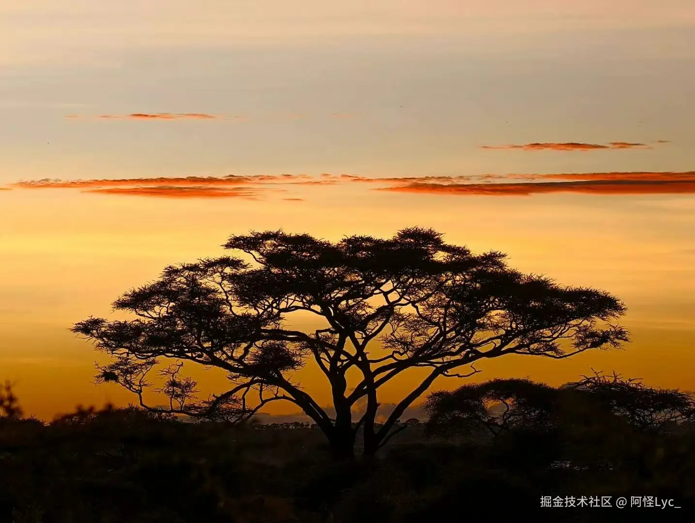 阿怪Lyc_于2025-05-20 09:45发布的图片