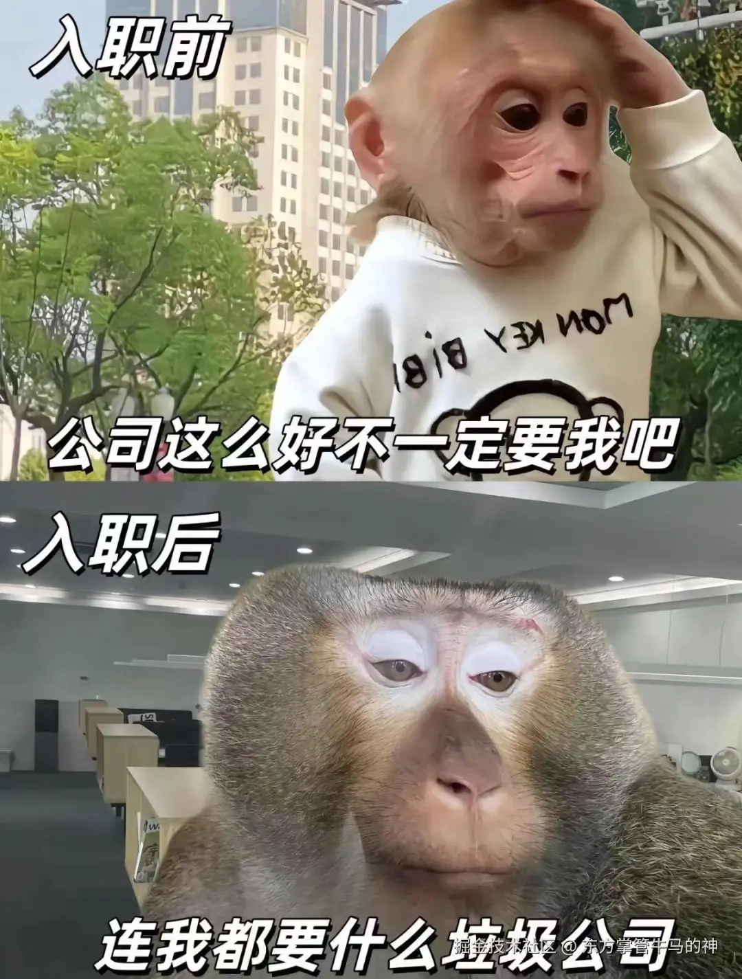 东方掌管牛马的神于2024-07-30 08:50发布的图片