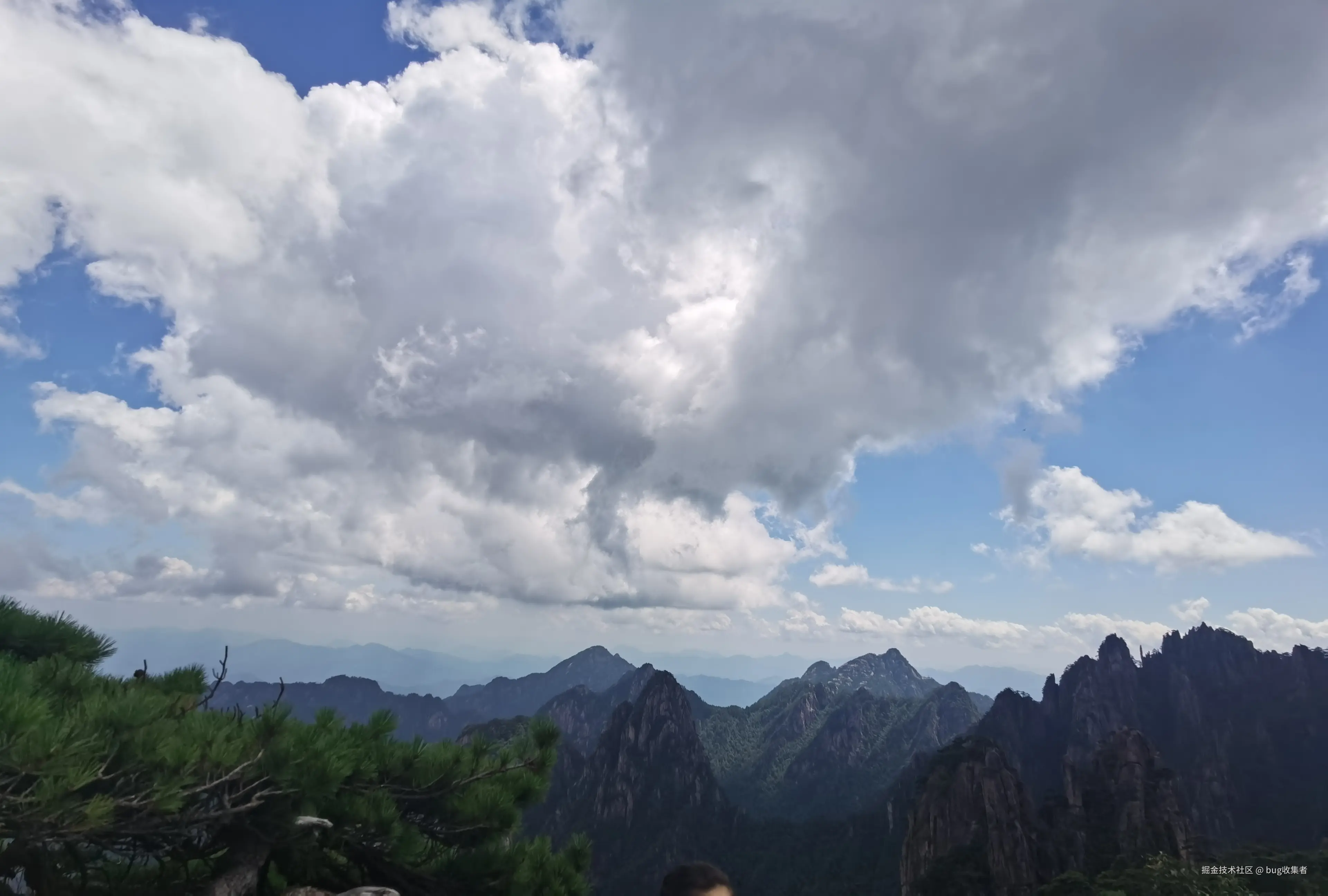 bug收集者于2024-08-04 15:17发布的图片