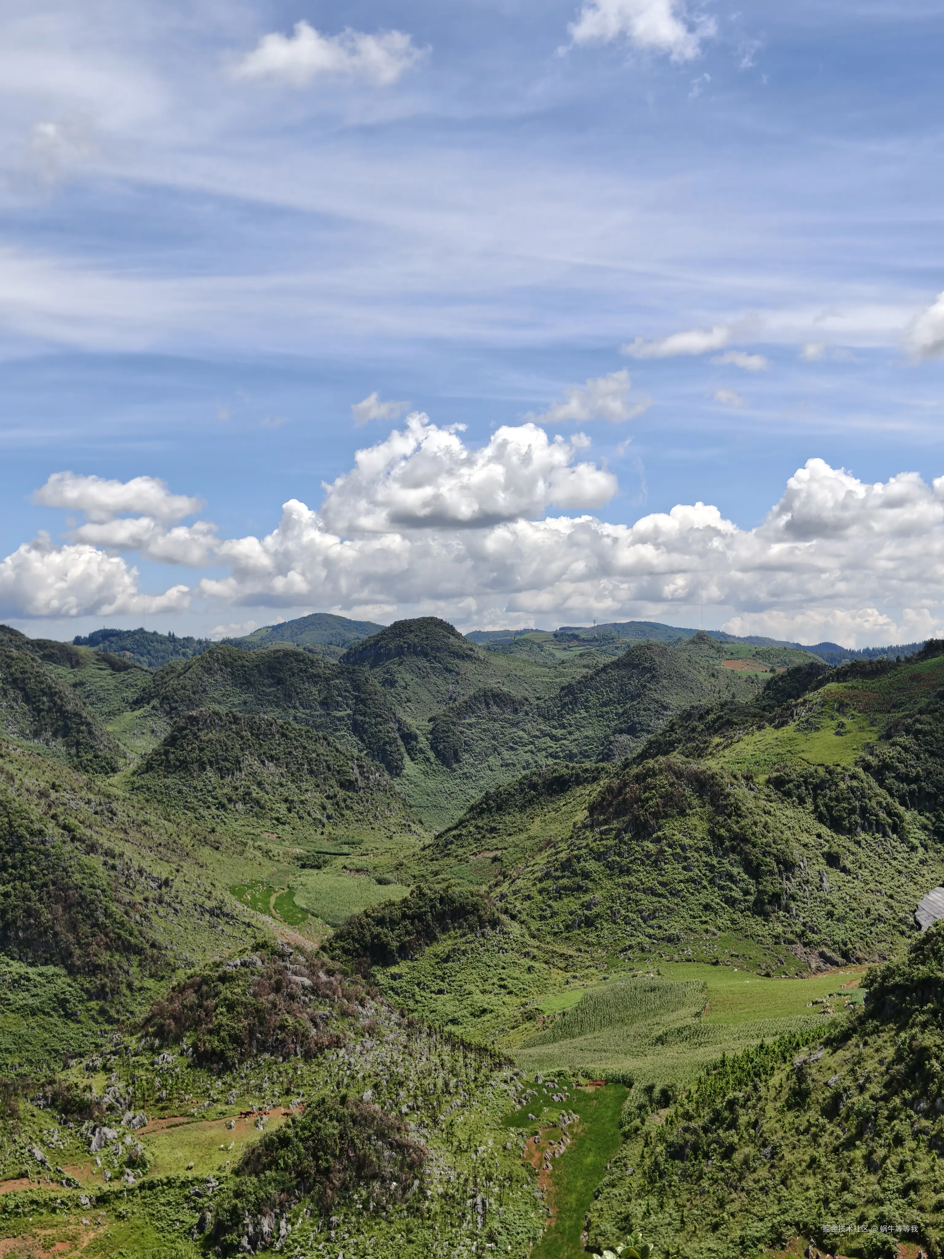 蜗牛等等我于2025-08-25 09:17发布的图片