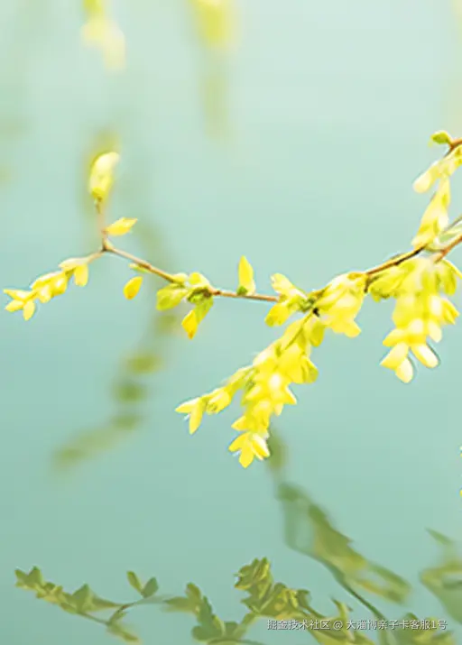 大淄博亲子卡客服1号于2026-04-11 13:54发布的图片