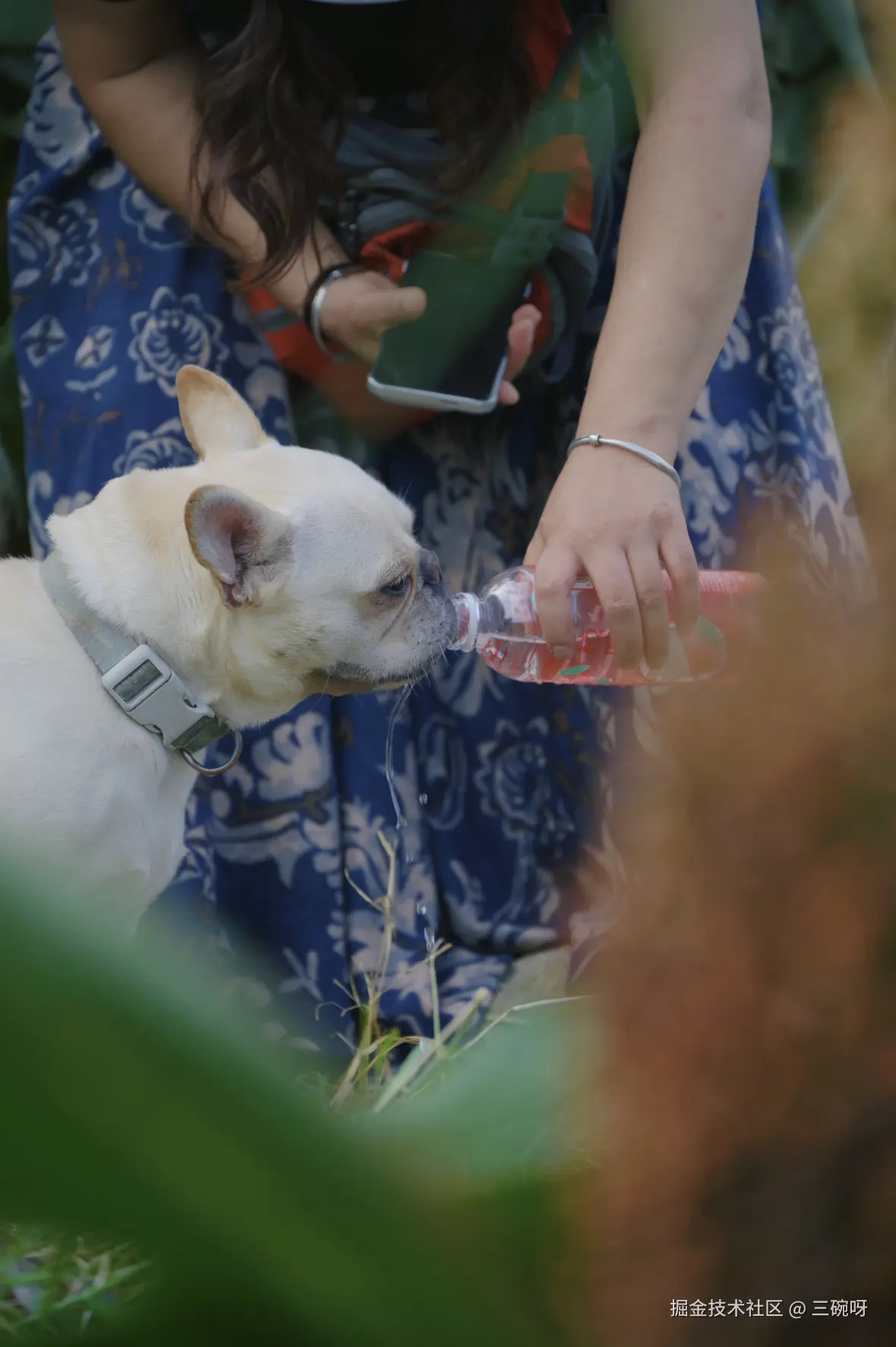 三碗呀于2025-09-15 11:29发布的图片