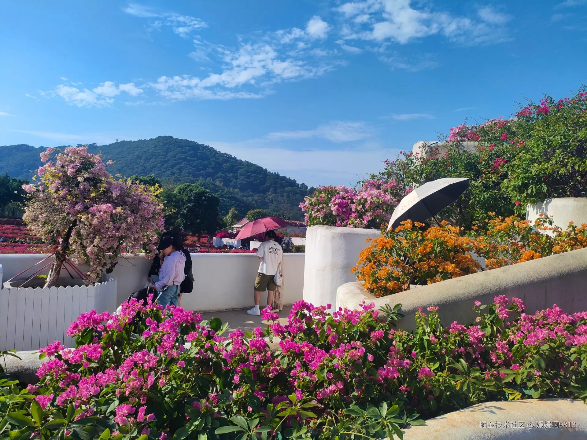 媛媛啊9813于2024-11-12 07:14发布的图片