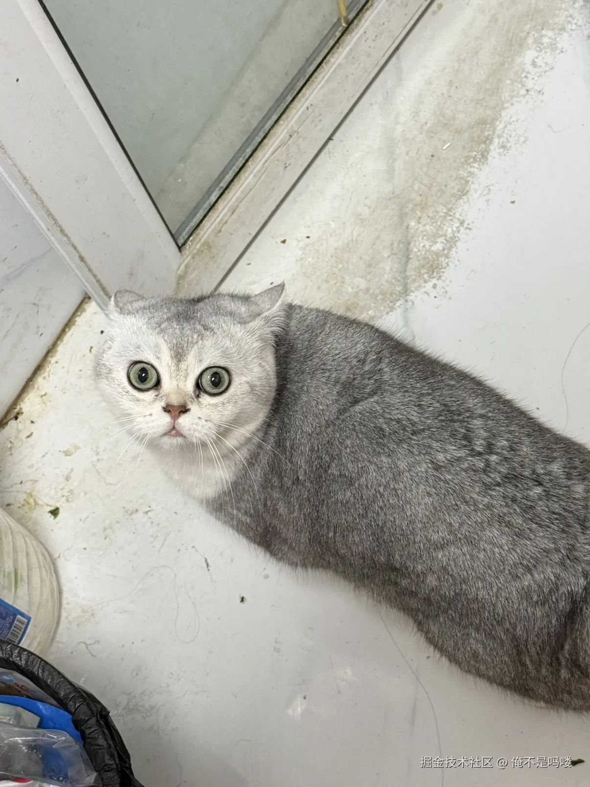 俺不是吗喽于2025-12-18 10:10发布的图片